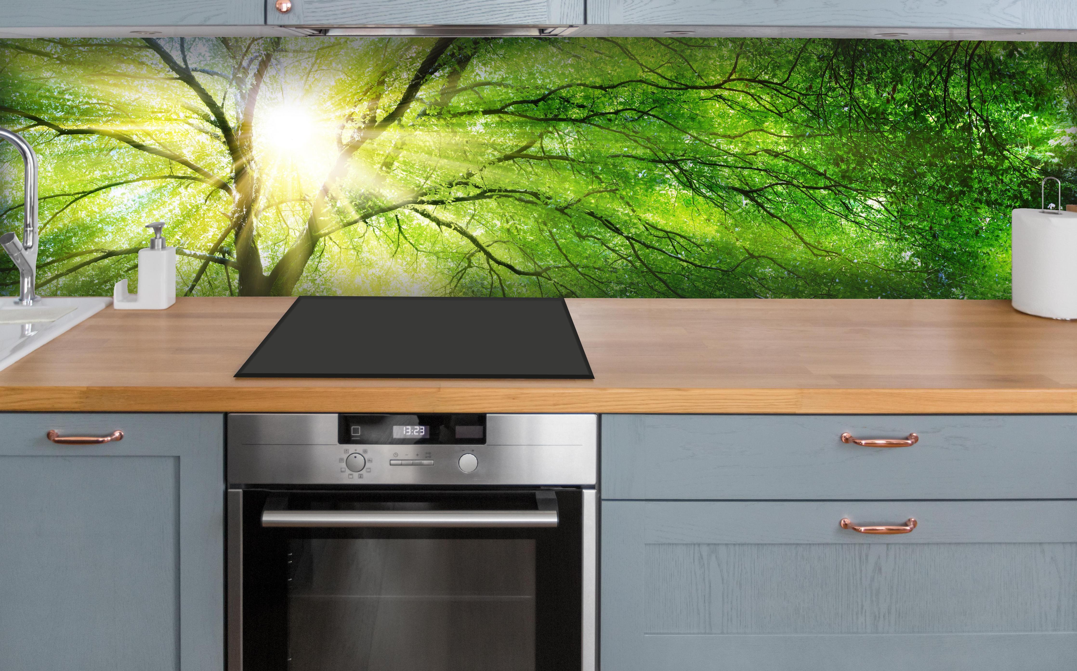 Küche - Energiegeladener Wald über polierter Holzarbeitsplatte mit Cerankochfeld