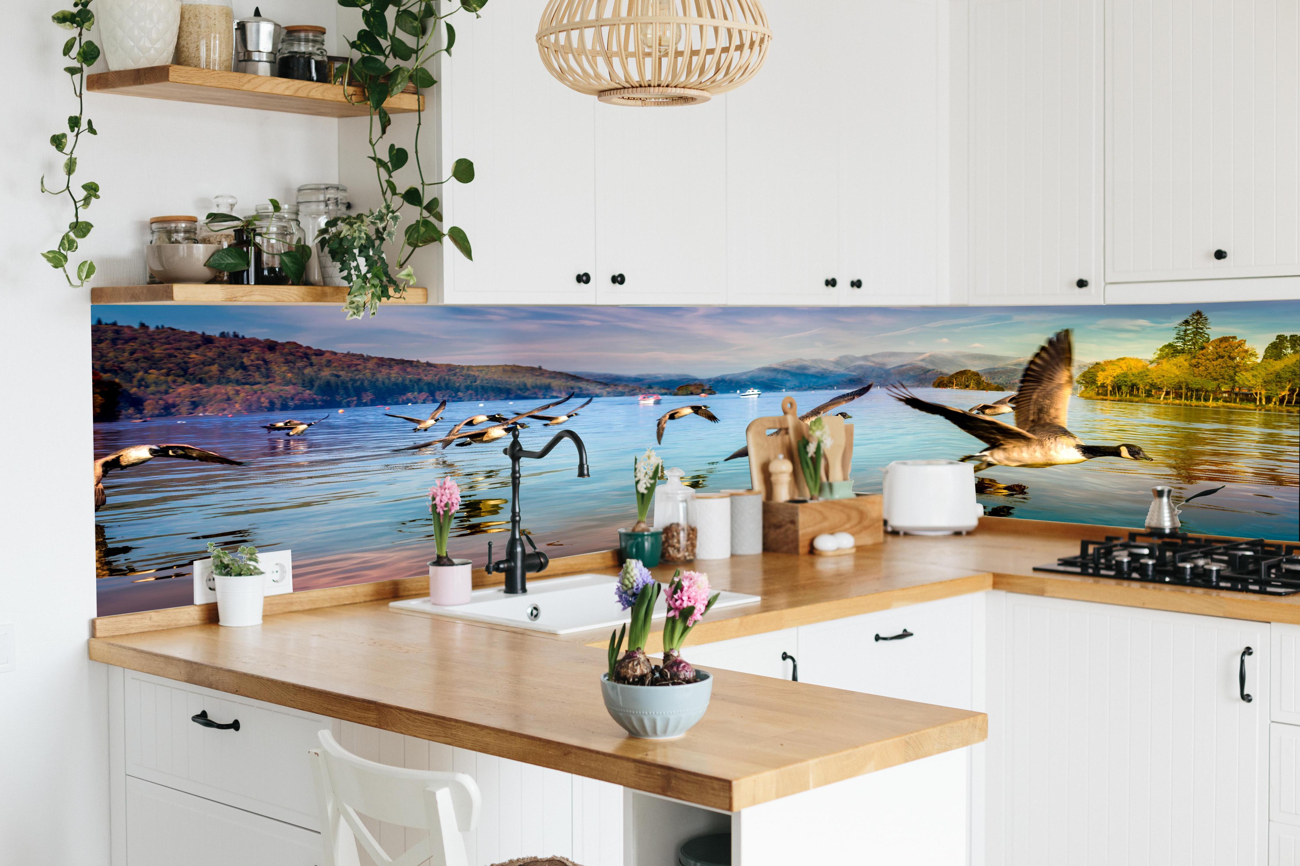Küche - Entenschwarm am Lake Windermere in lebendiger Küche mit bunten Blumen