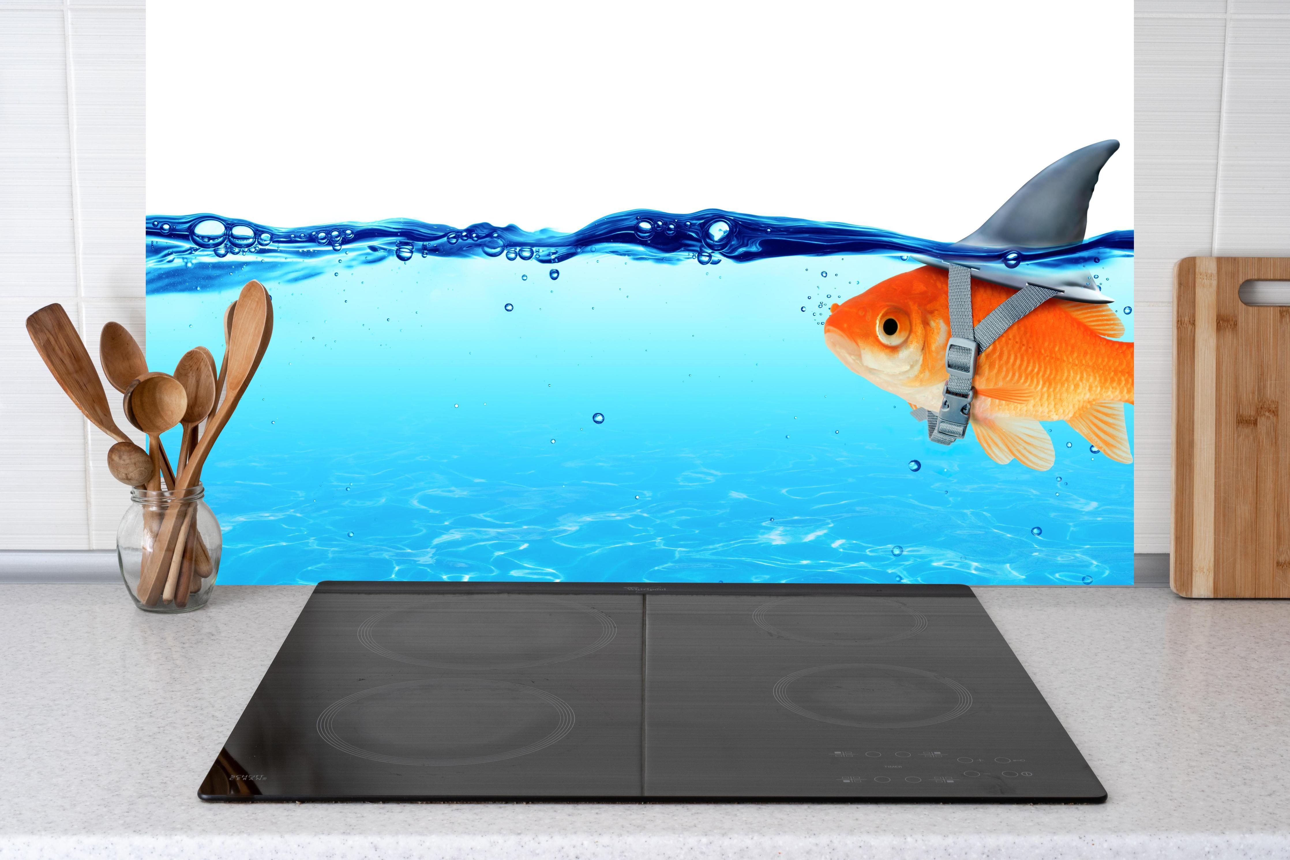 Küche - Goldfisch als Hai hinter Cerankochfeld und Holz-Kochutensilien