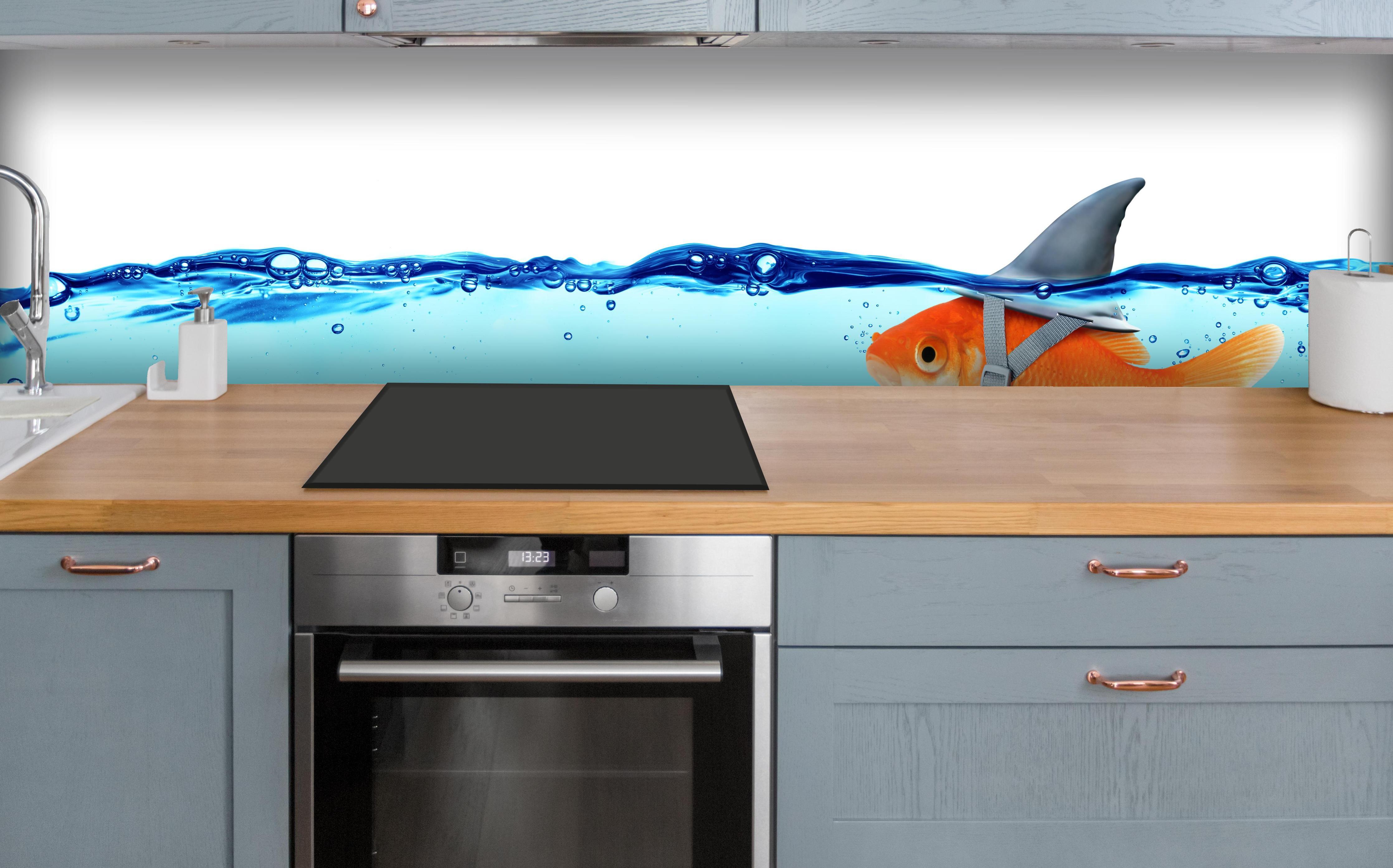 Küche - Goldfisch als Hai über polierter Holzarbeitsplatte mit Cerankochfeld