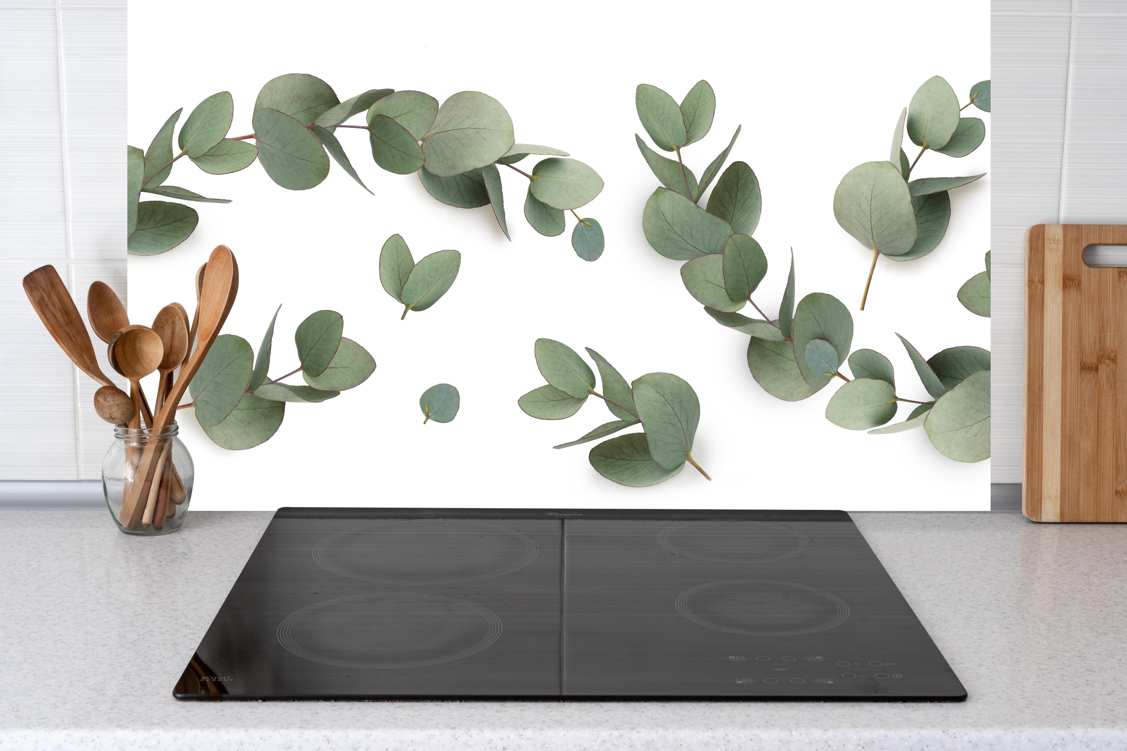 Küche - Grüne Eukalyptus Blätter hinter Cerankochfeld und Holz-Kochutensilien