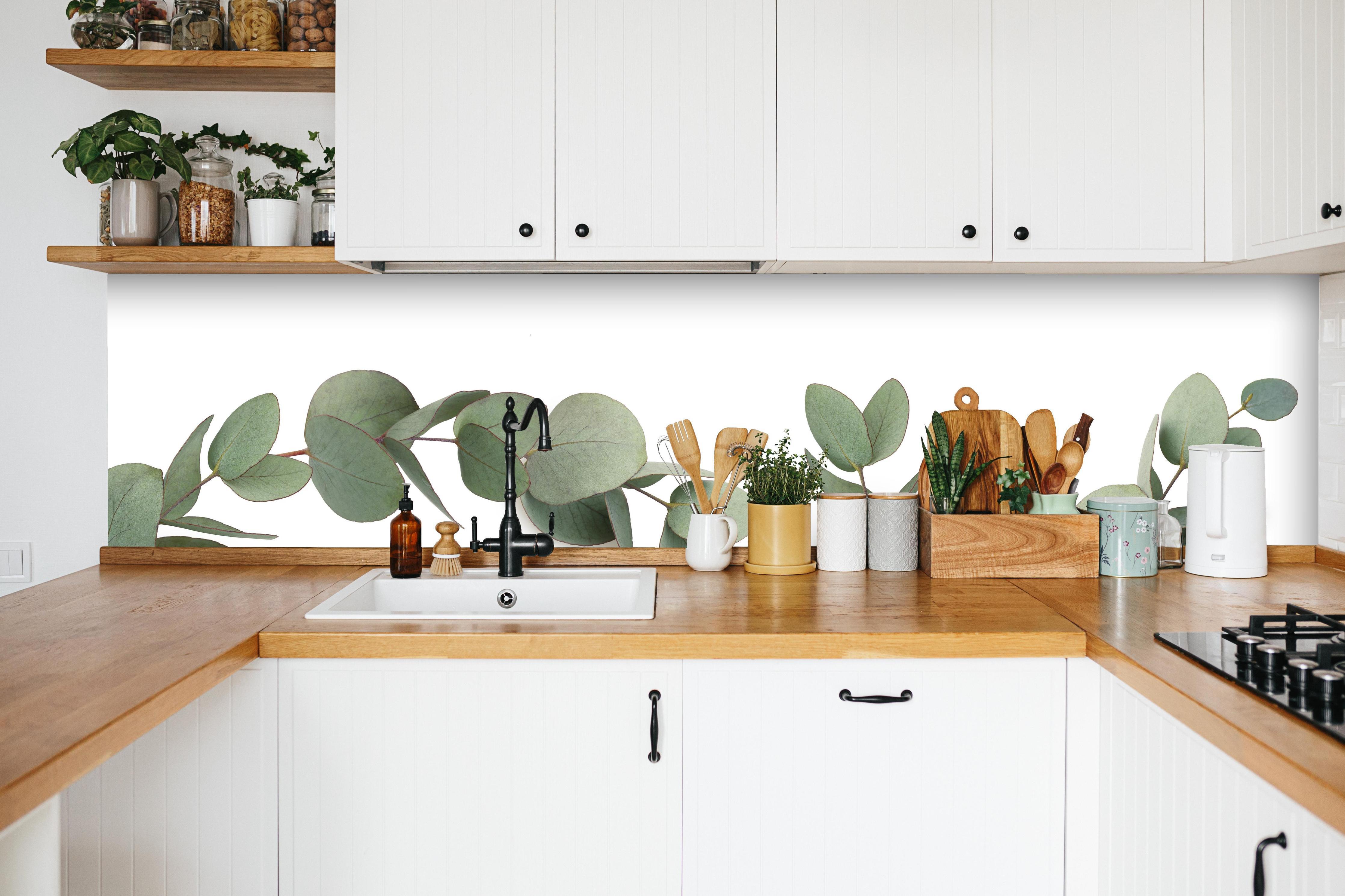 Küche - Grüne Eukalyptus Blätter in weißer Küche hinter Gewürzen und Kochlöffeln aus Holz