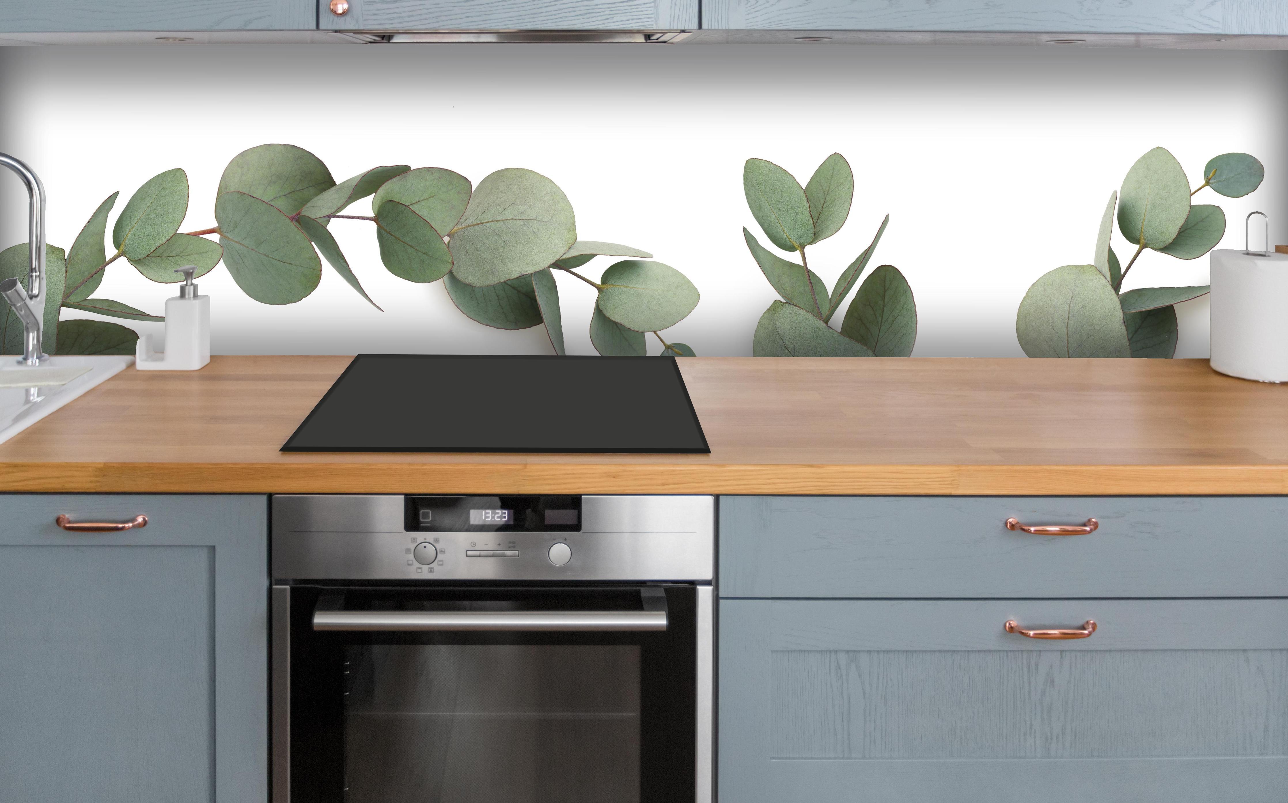 Küche - Grüne Eukalyptus Blätter über polierter Holzarbeitsplatte mit Cerankochfeld