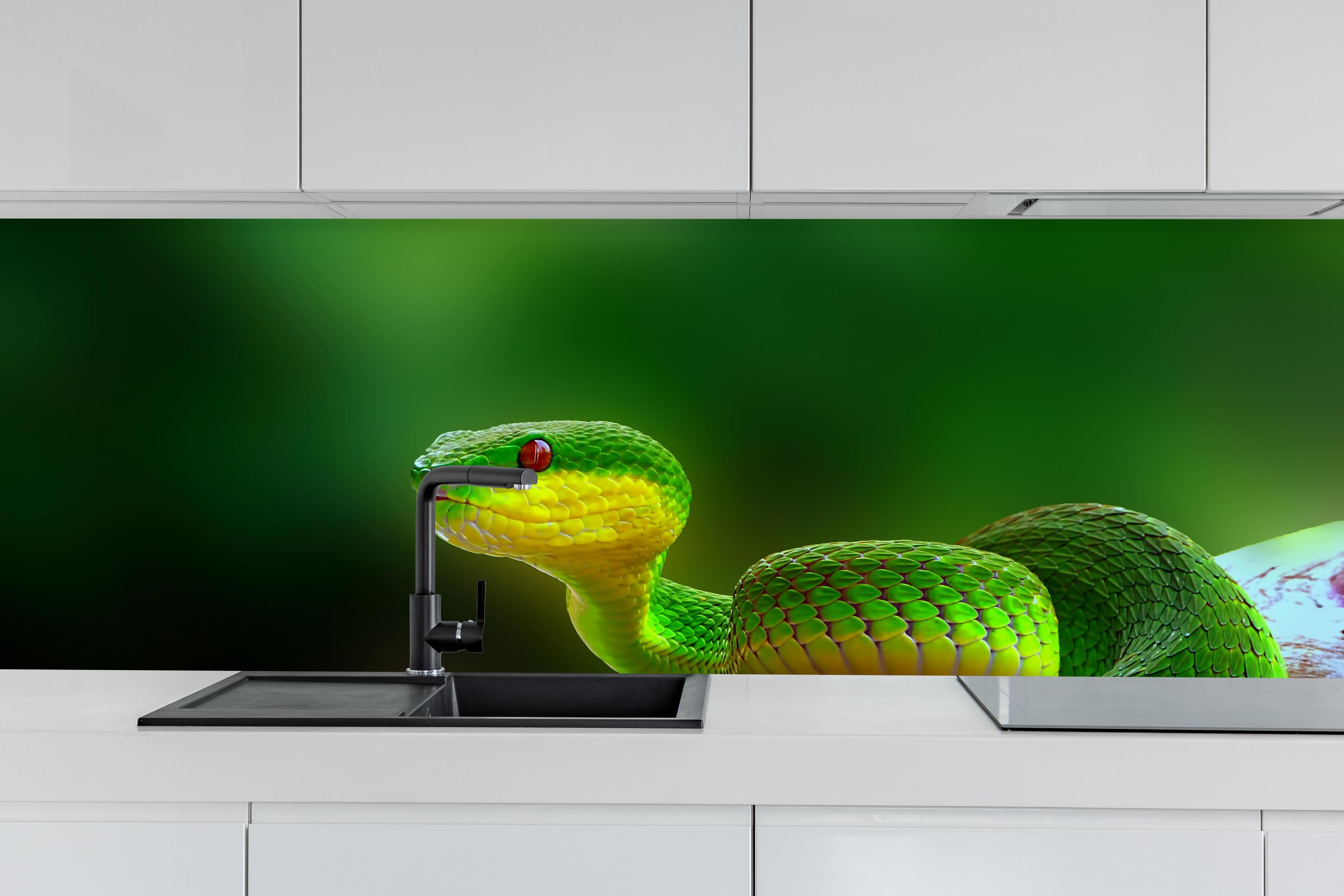 Küche - Grüne Inselvipernatter hinter weißen Hochglanz-Küchenregalen und schwarzem Wasserhahn