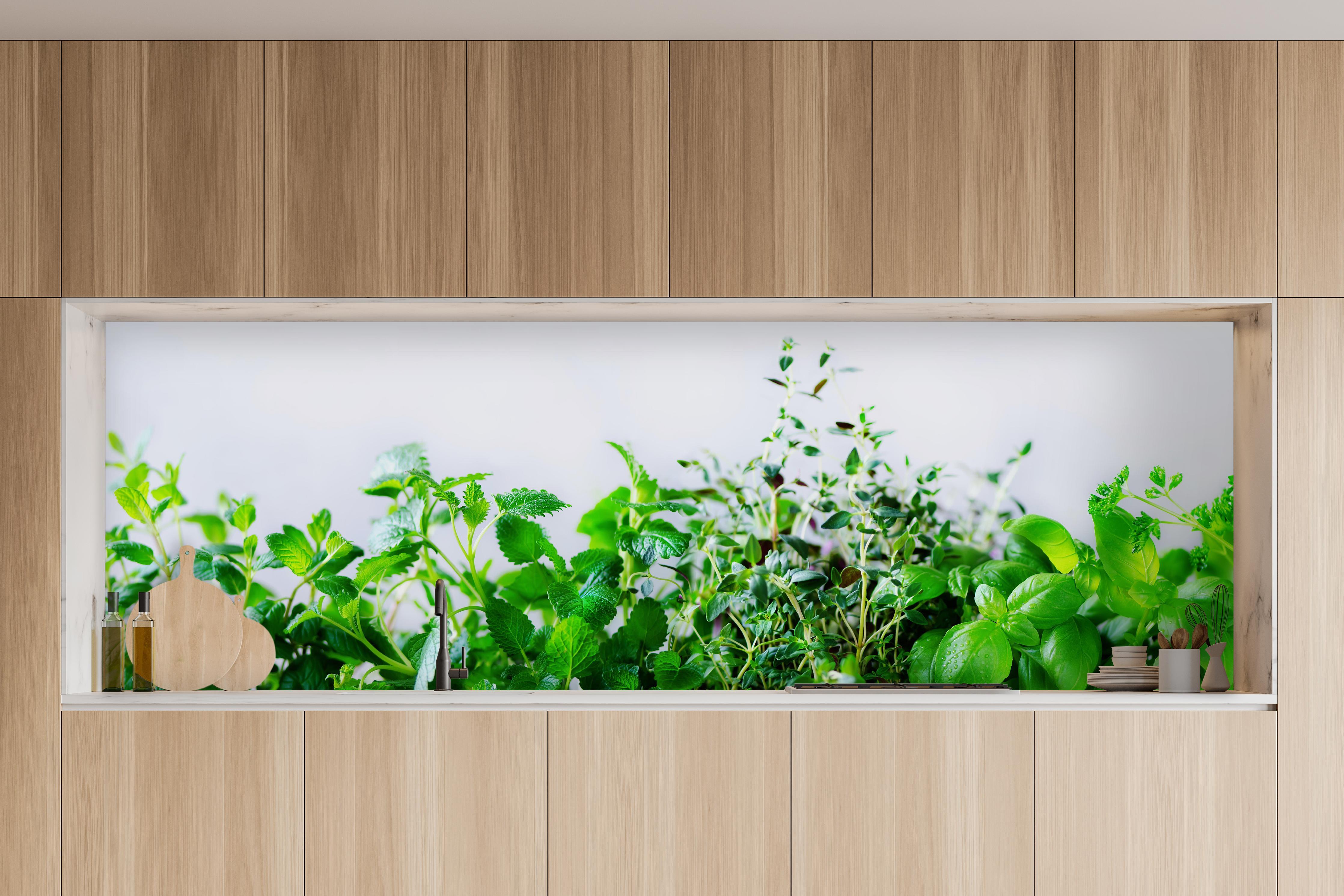 Küche - Grüne frische Kräuter in charakteristischer Vollholz-Küche mit modernem Gasherd