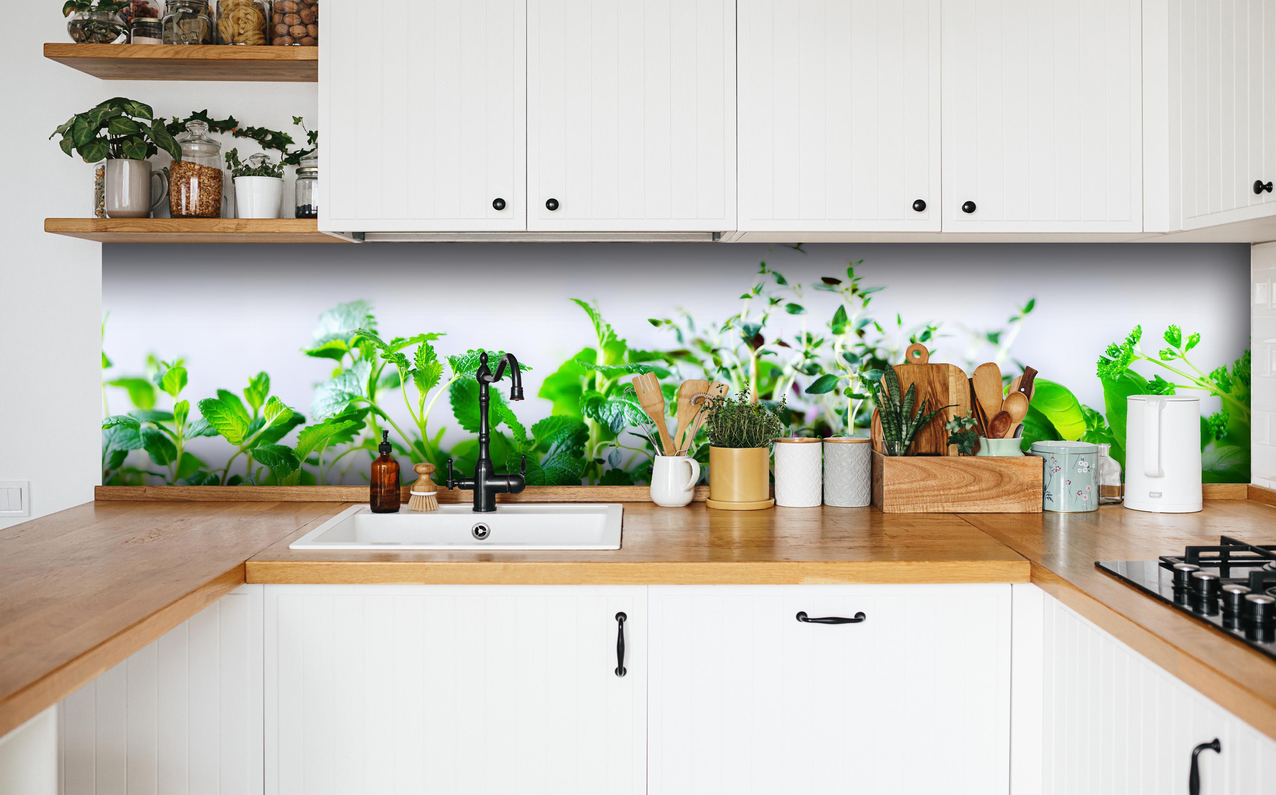 Küche - Grüne frische Kräuter in weißer Küche hinter Gewürzen und Kochlöffeln aus Holz