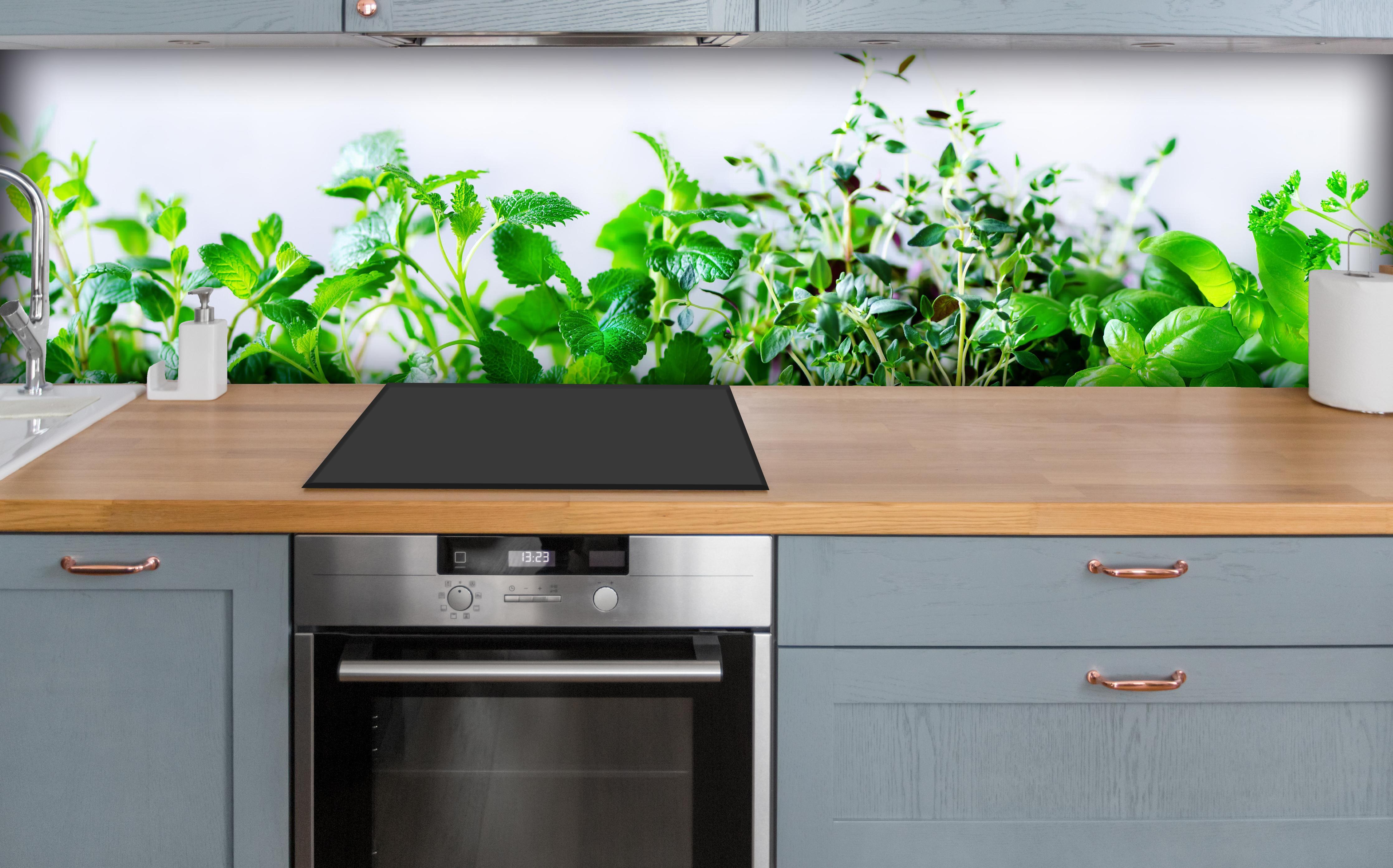 Küche - Grüne frische Kräuter über polierter Holzarbeitsplatte mit Cerankochfeld