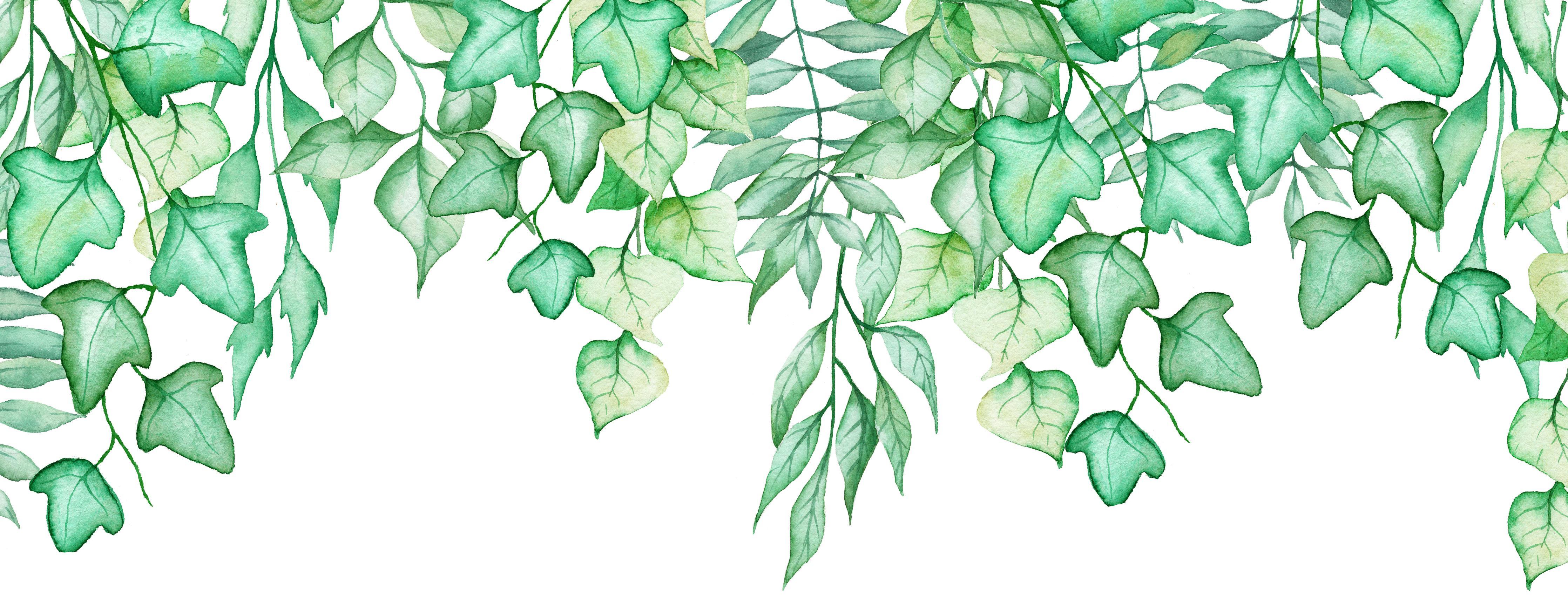 Küchenrückwand-Handgezeichneten Aquarellblättern und Efeu