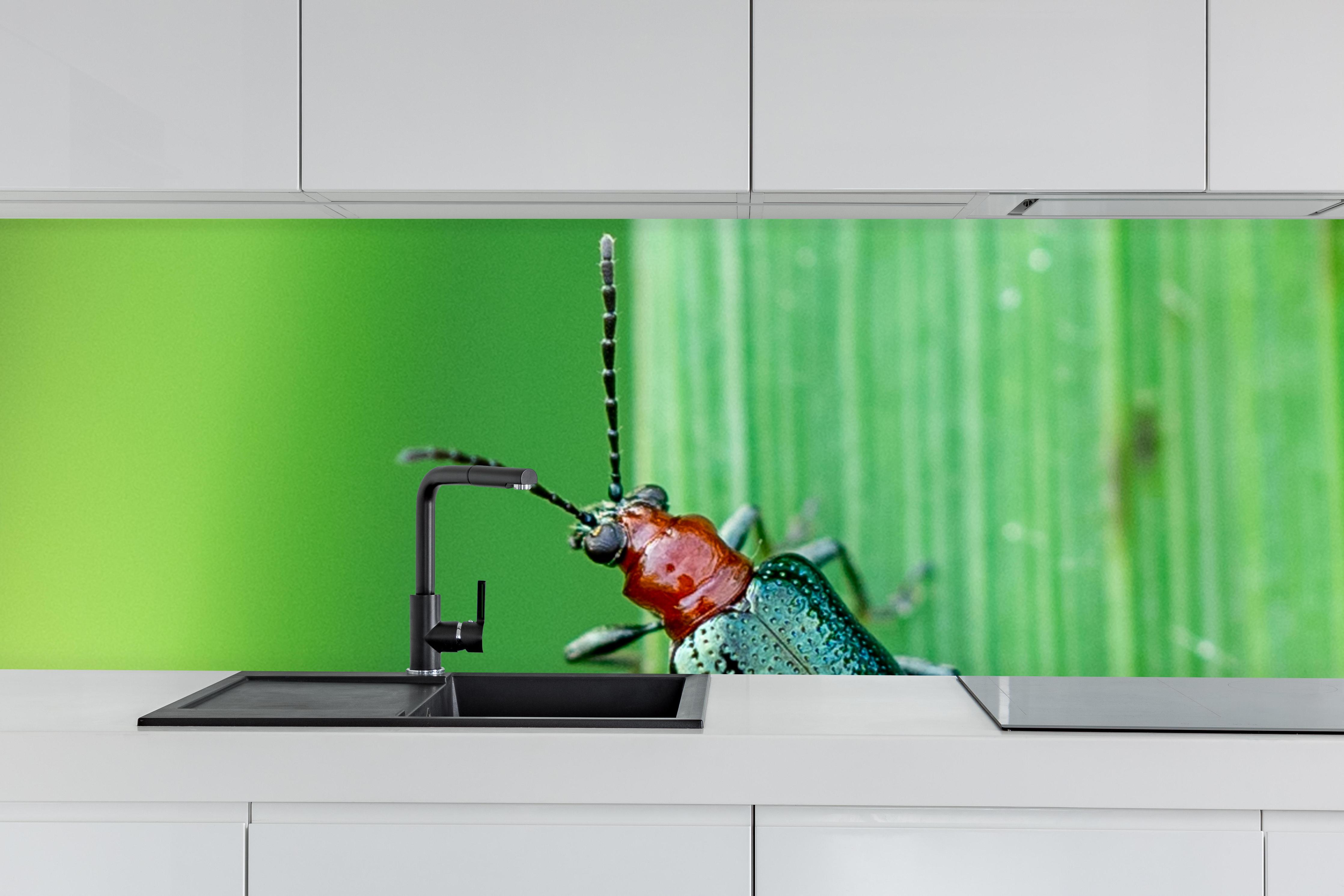 Küche - Käfer auf Blatt hinter weißen Hochglanz-Küchenregalen und schwarzem Wasserhahn