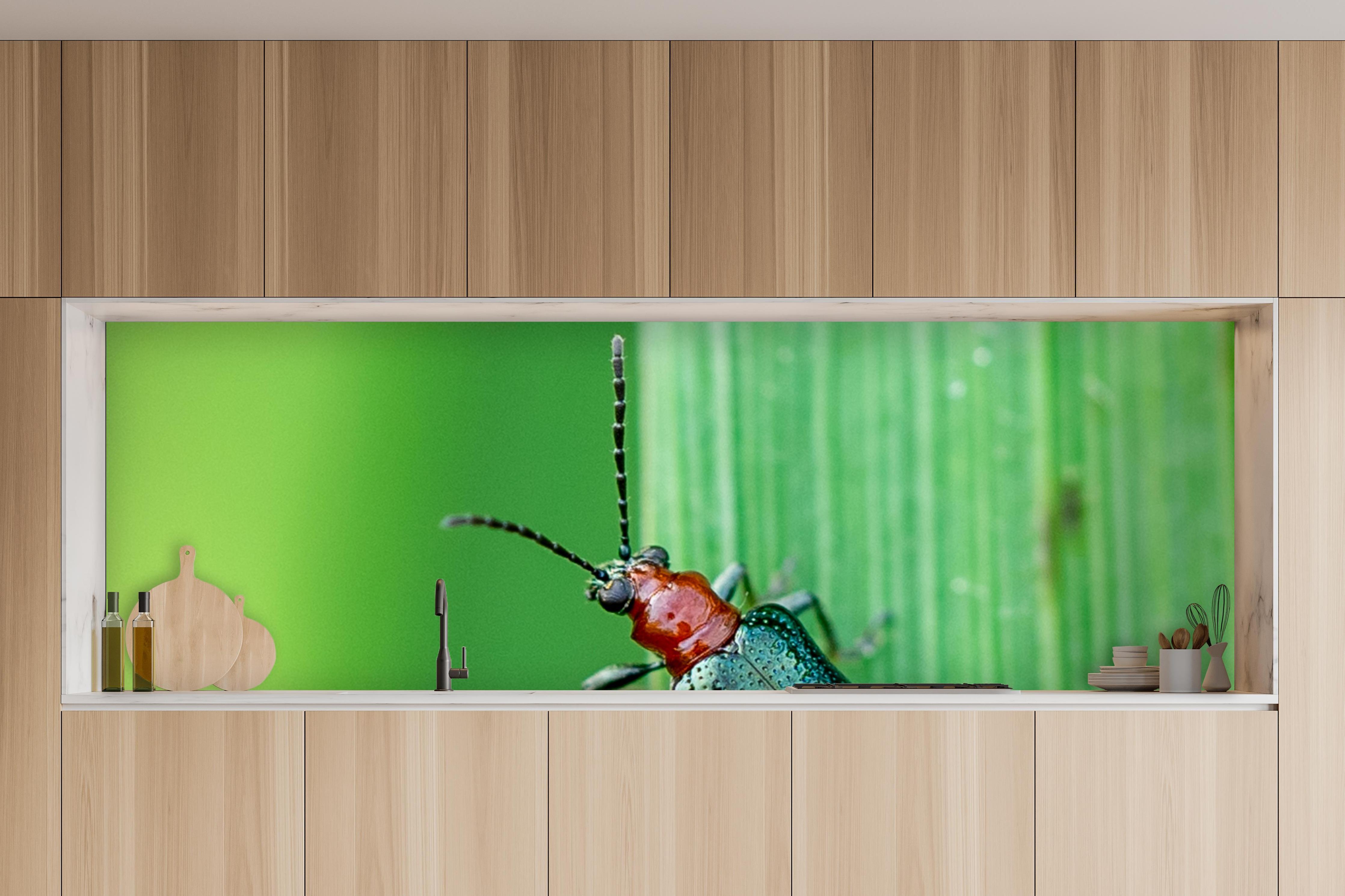 Küche - Käfer auf Blatt in charakteristischer Vollholz-Küche mit modernem Gasherd