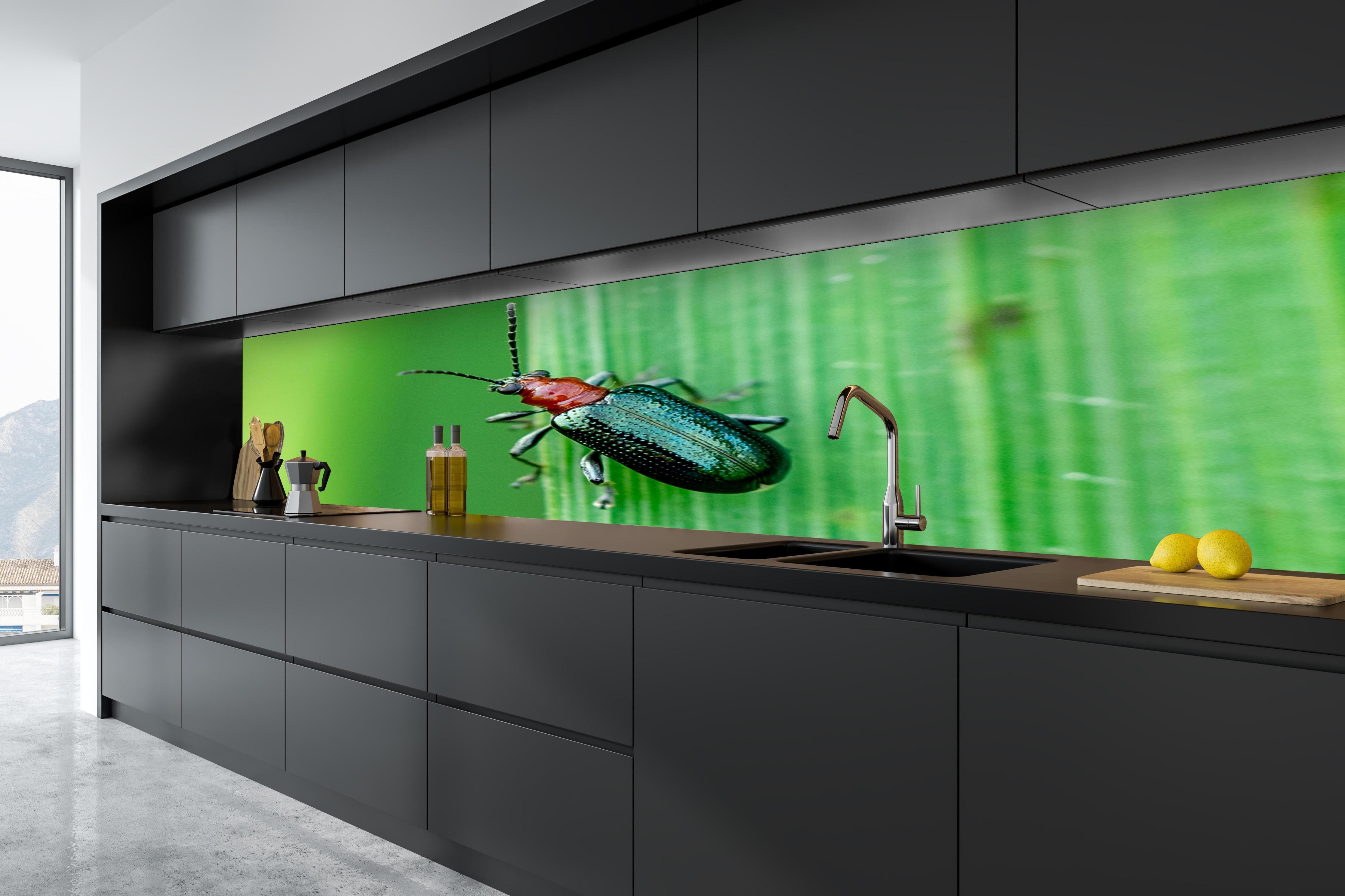 Küche - Käfer auf Blatt in tiefschwarzer matt-premium Einbauküche