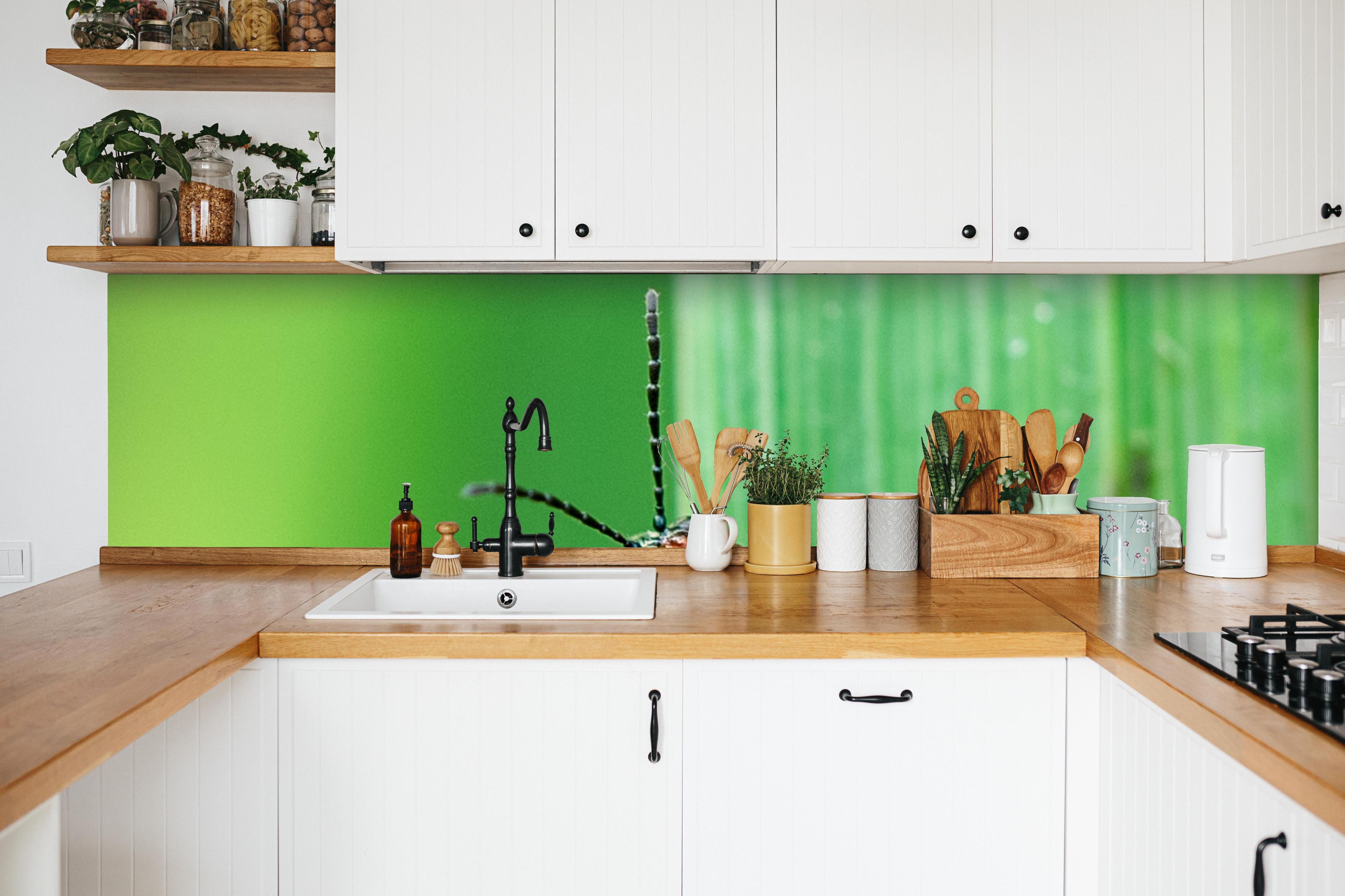 Küche - Käfer auf Blatt in weißer Küche hinter Gewürzen und Kochlöffeln aus Holz