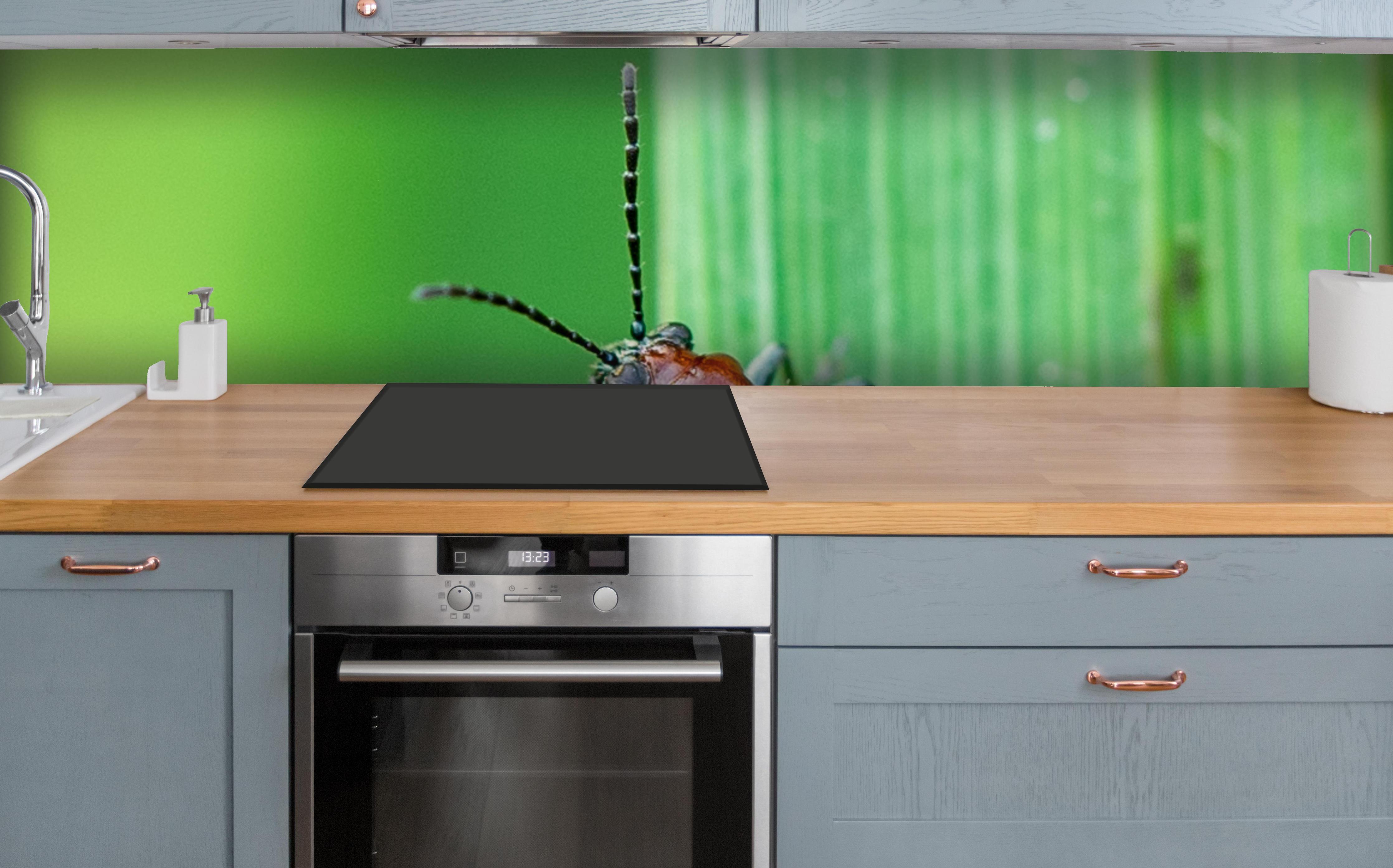 Küche - Käfer auf Blatt über polierter Holzarbeitsplatte mit Cerankochfeld