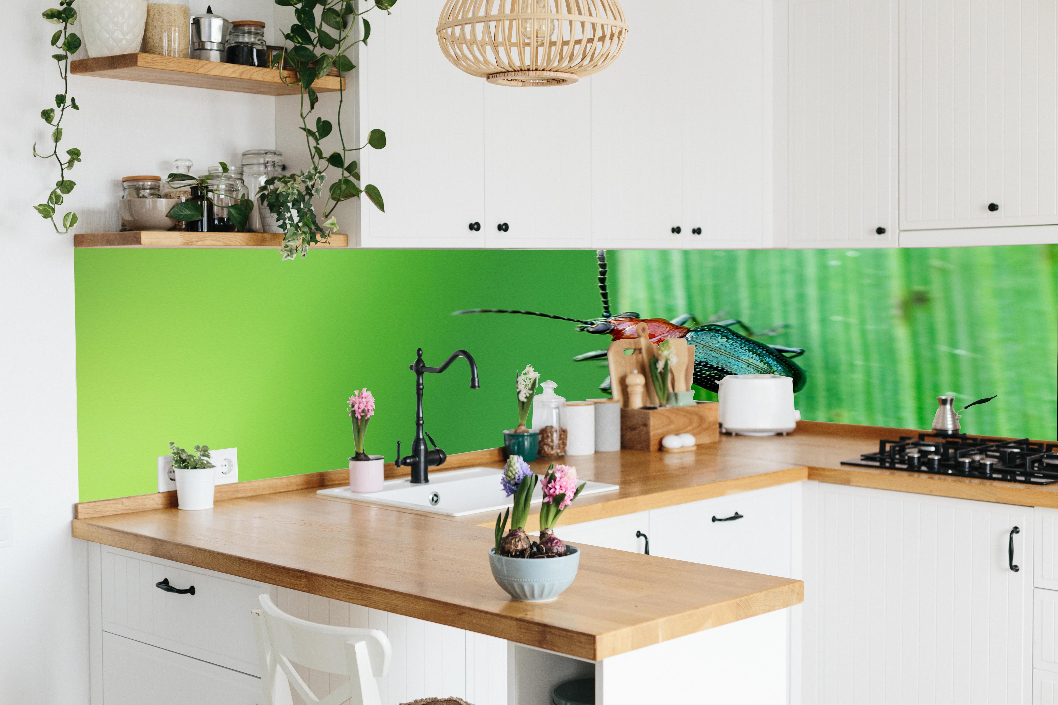 Küche - Käfer auf Blatt in lebendiger Küche mit bunten Blumen