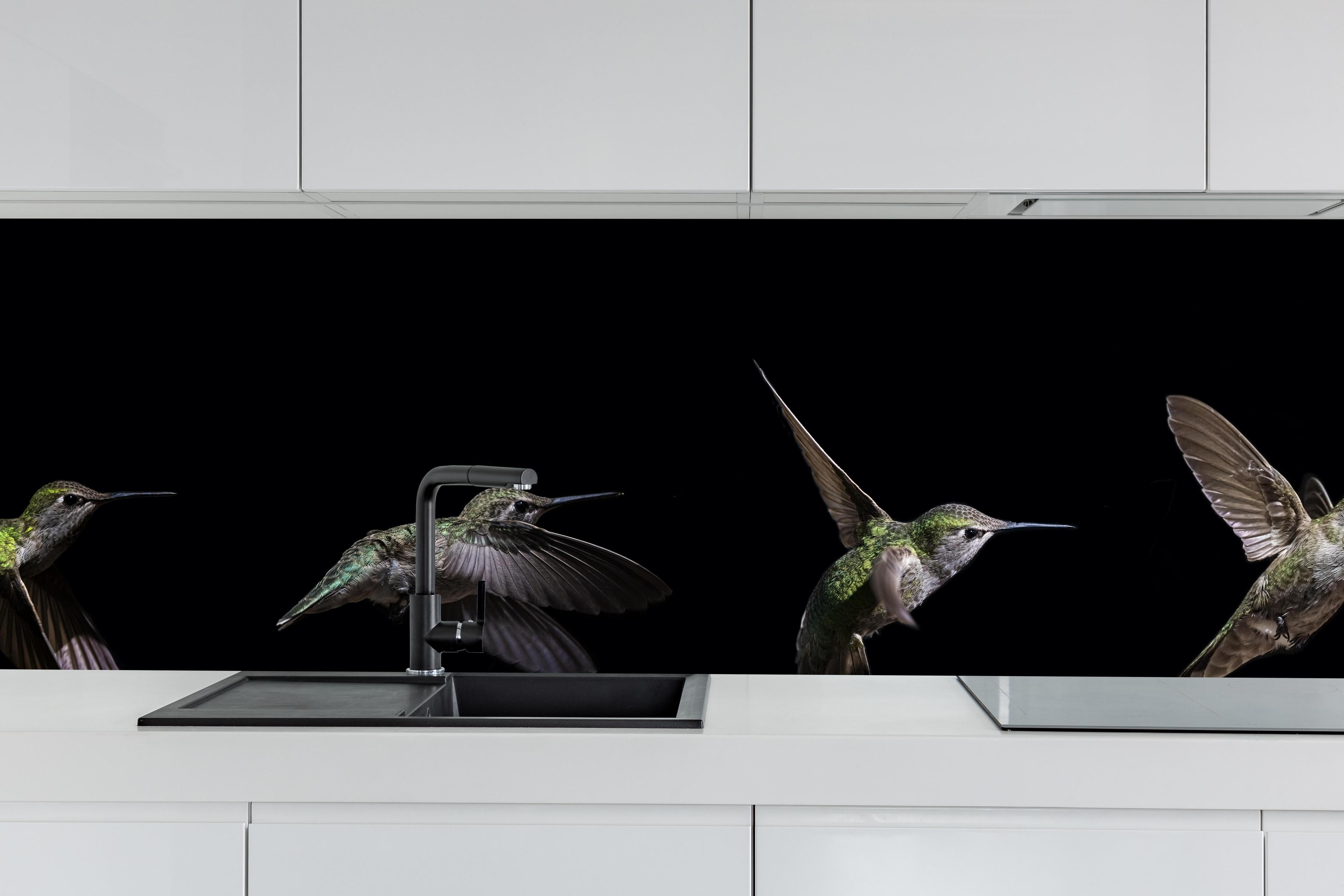 Küche - Kolibri beim Fressen der Aloe Vera-Blüte hinter weißen Hochglanz-Küchenregalen und schwarzem Wasserhahn