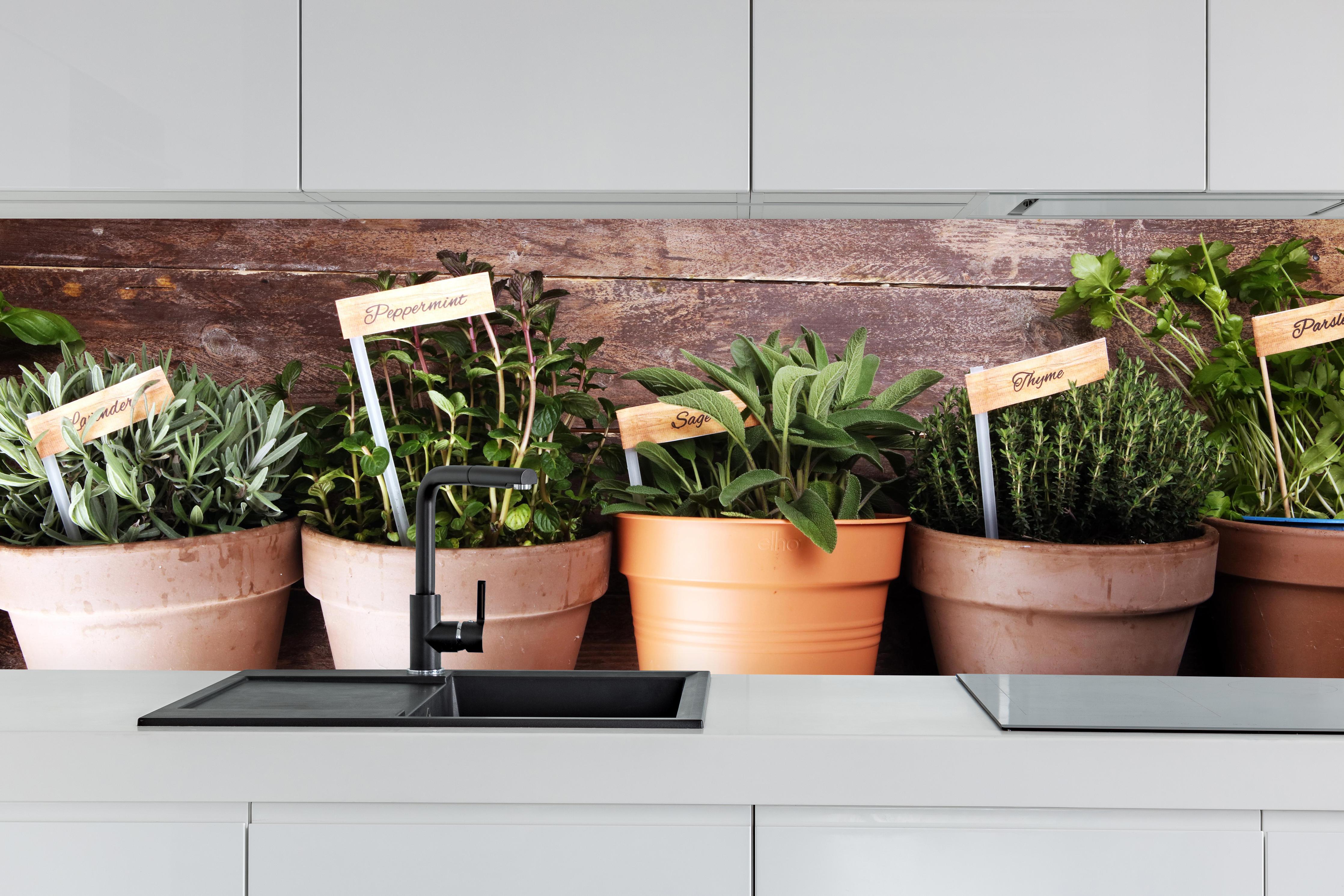 Küche - Küchenkräuter in Tontöpfen hinter weißen Hochglanz-Küchenregalen und schwarzem Wasserhahn