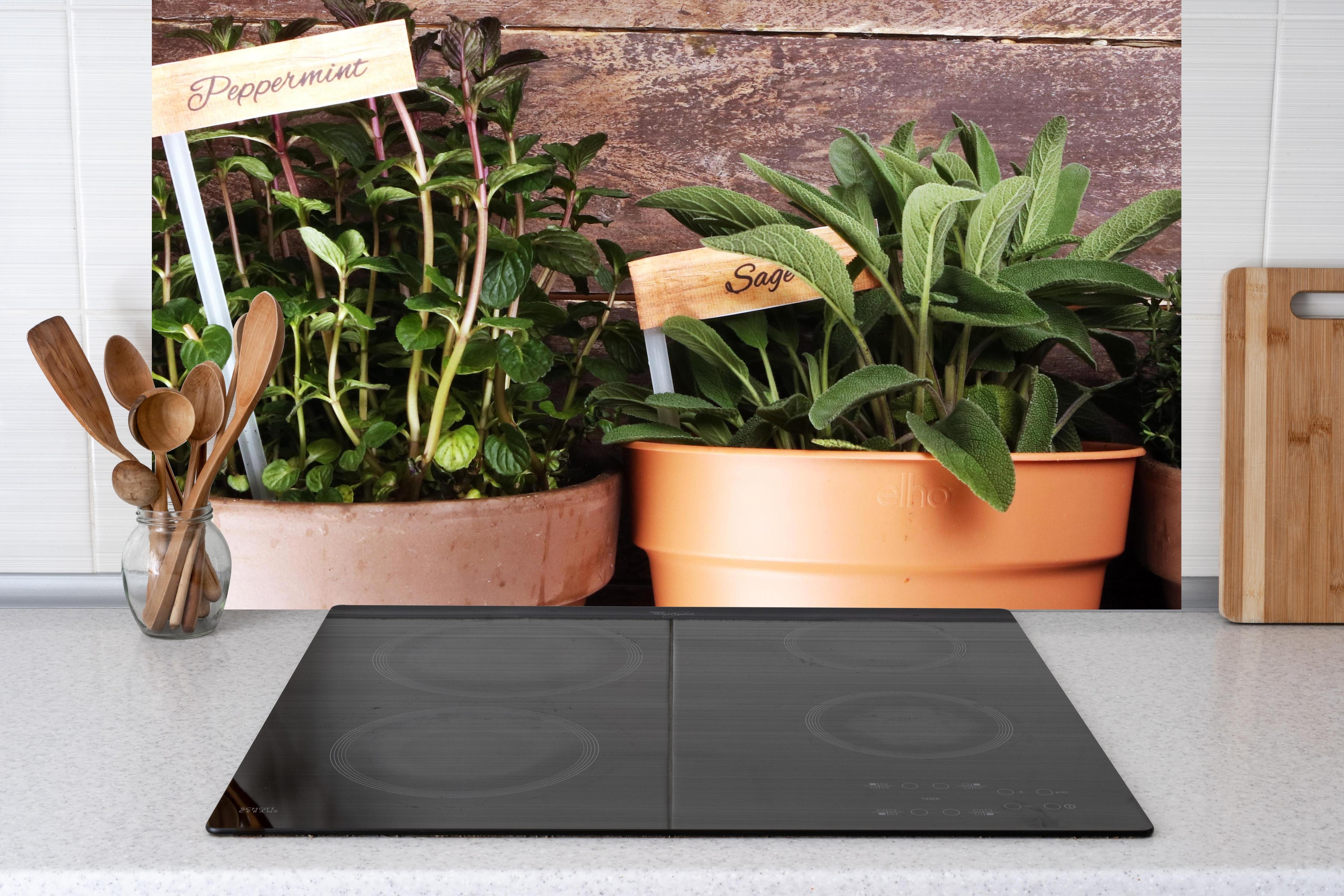 Küche - Küchenkräuter in Tontöpfen hinter Cerankochfeld und Holz-Kochutensilien