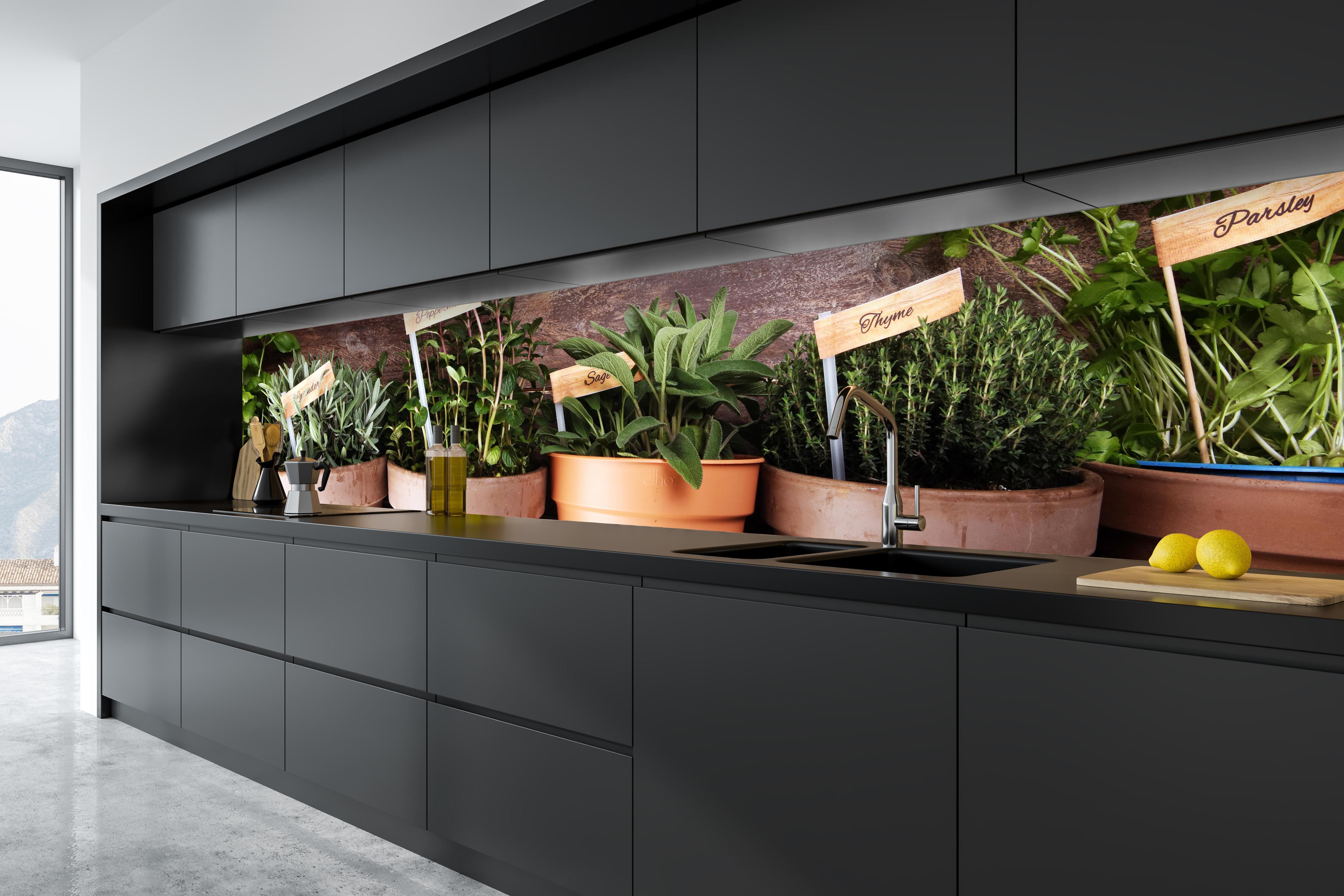 Küche - Küchenkräuter in Tontöpfen in tiefschwarzer matt-premium Einbauküche