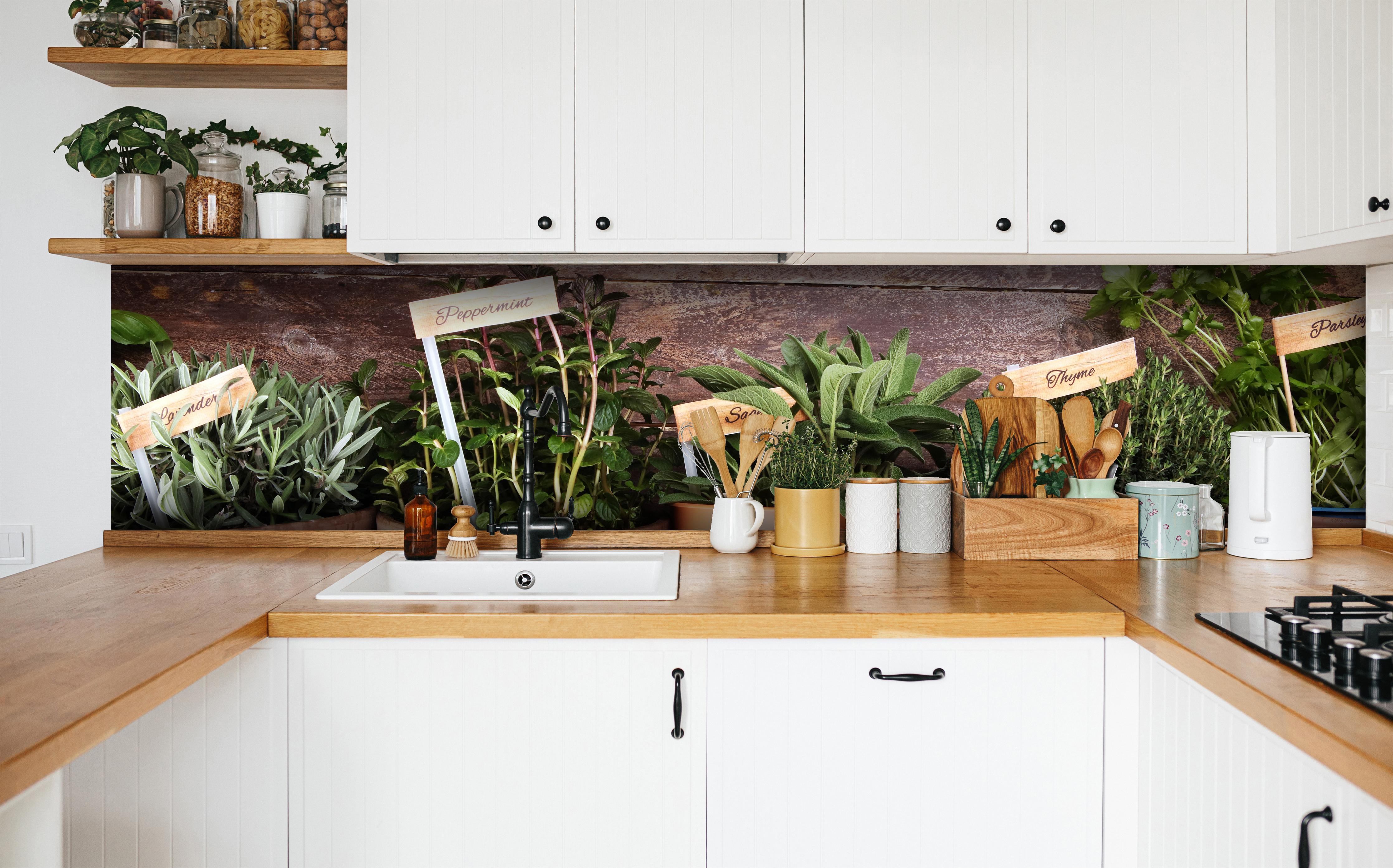 Küche - Küchenkräuter in Tontöpfen in weißer Küche hinter Gewürzen und Kochlöffeln aus Holz
