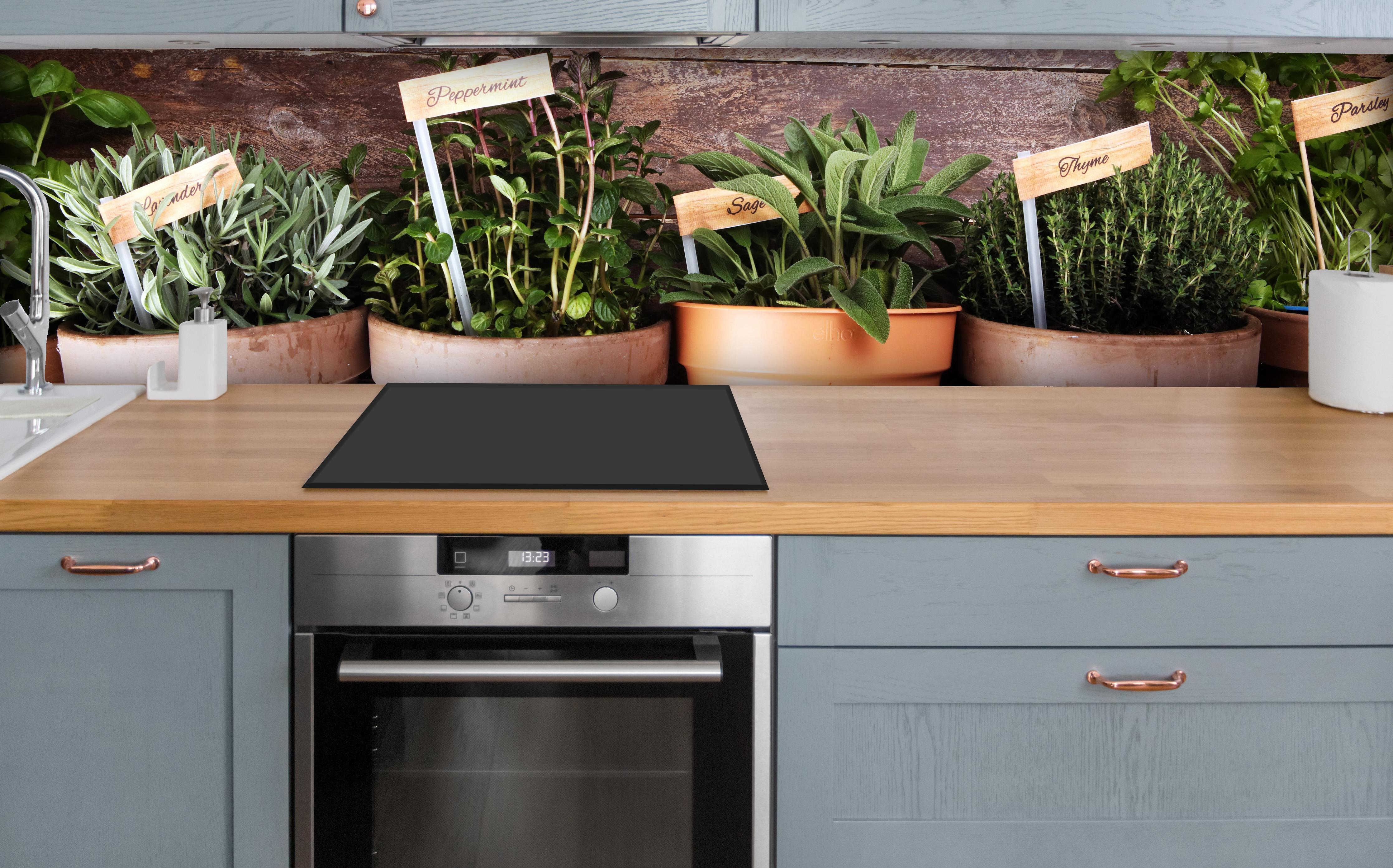 Küche - Küchenkräuter in Tontöpfen über polierter Holzarbeitsplatte mit Cerankochfeld
