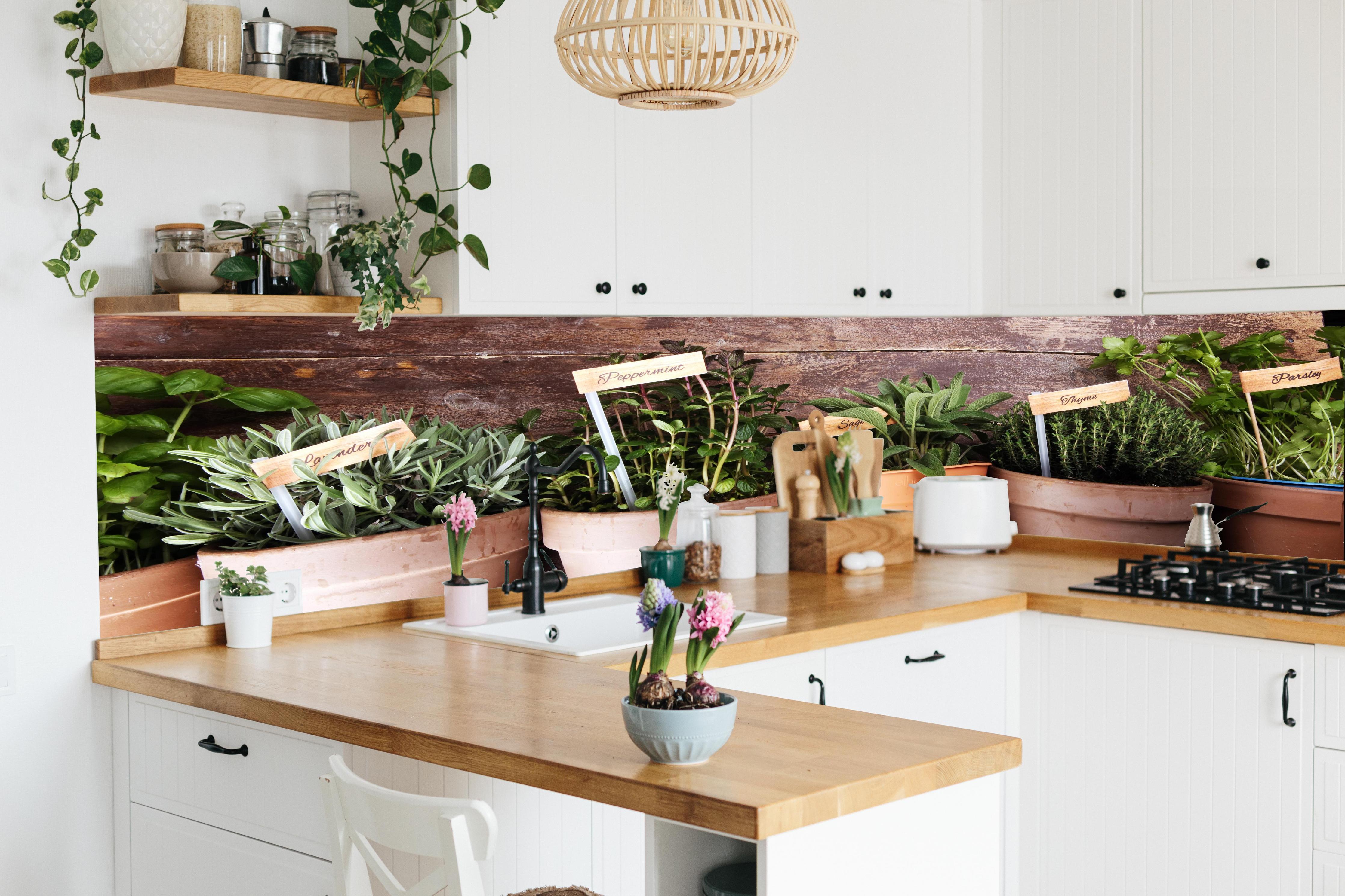 Küche - Küchenkräuter in Tontöpfen in lebendiger Küche mit bunten Blumen