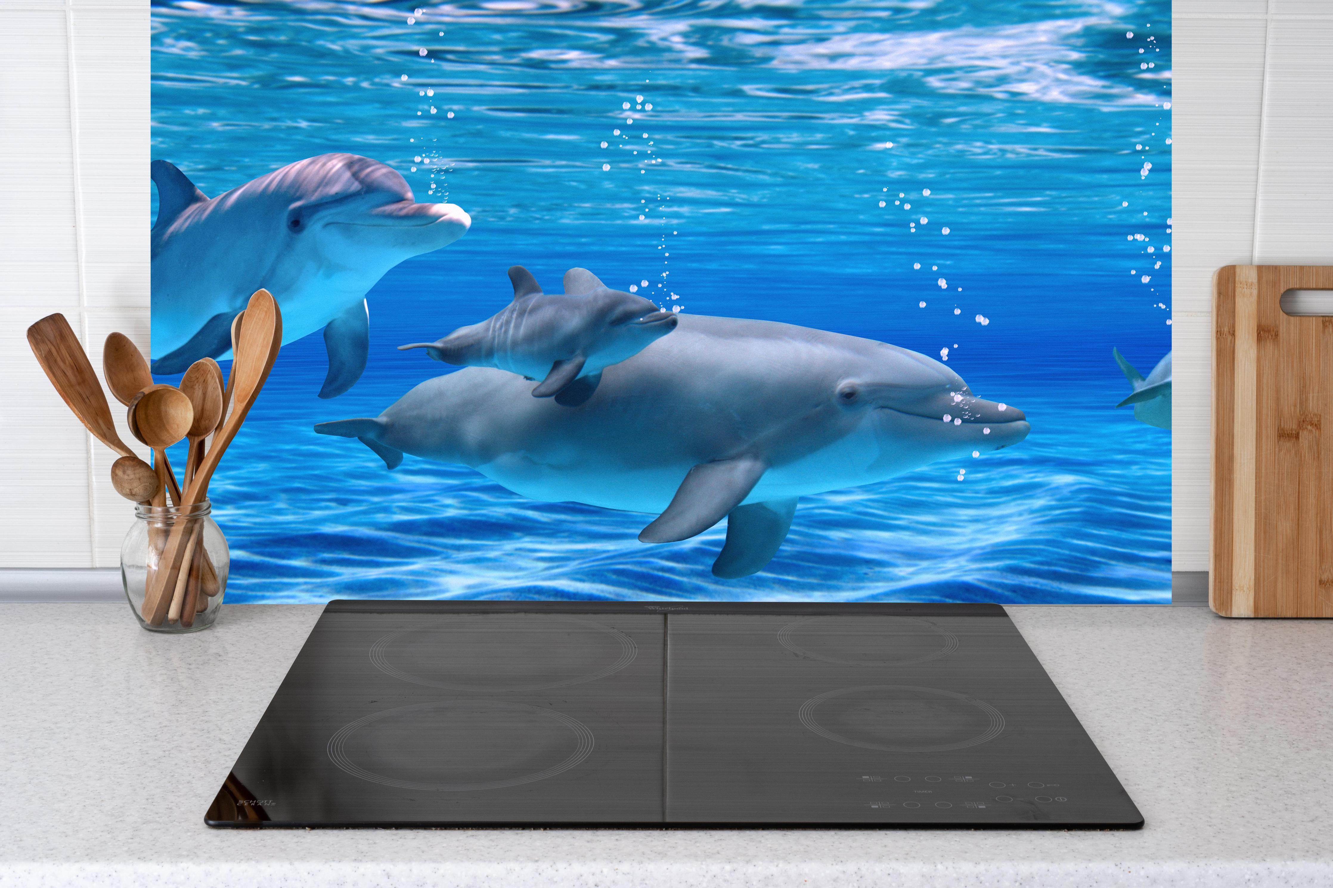 Küche - Panorama der schwimmenden Delphine hinter Cerankochfeld und Holz-Kochutensilien
