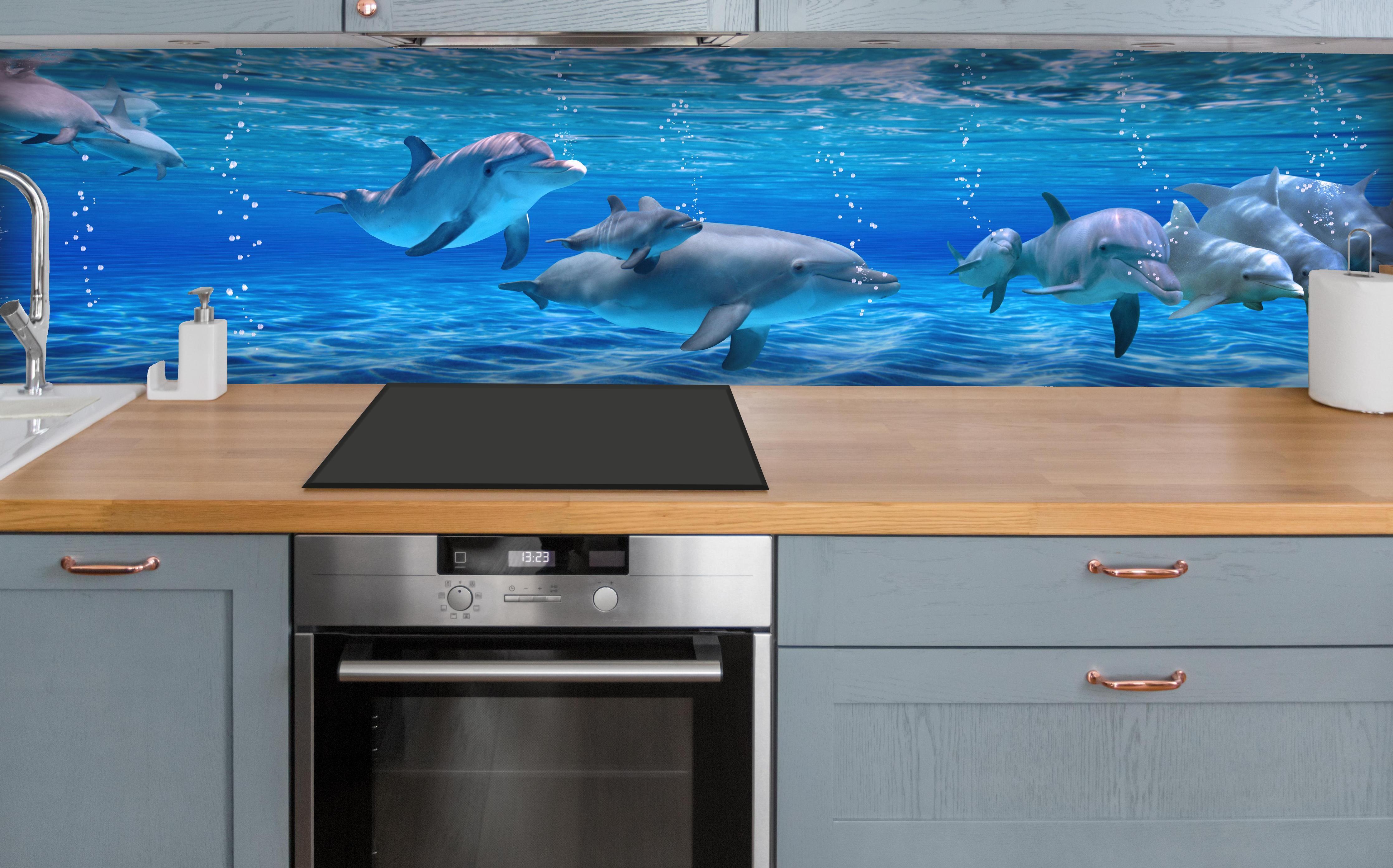 Küche - Panorama der schwimmenden Delphine über polierter Holzarbeitsplatte mit Cerankochfeld