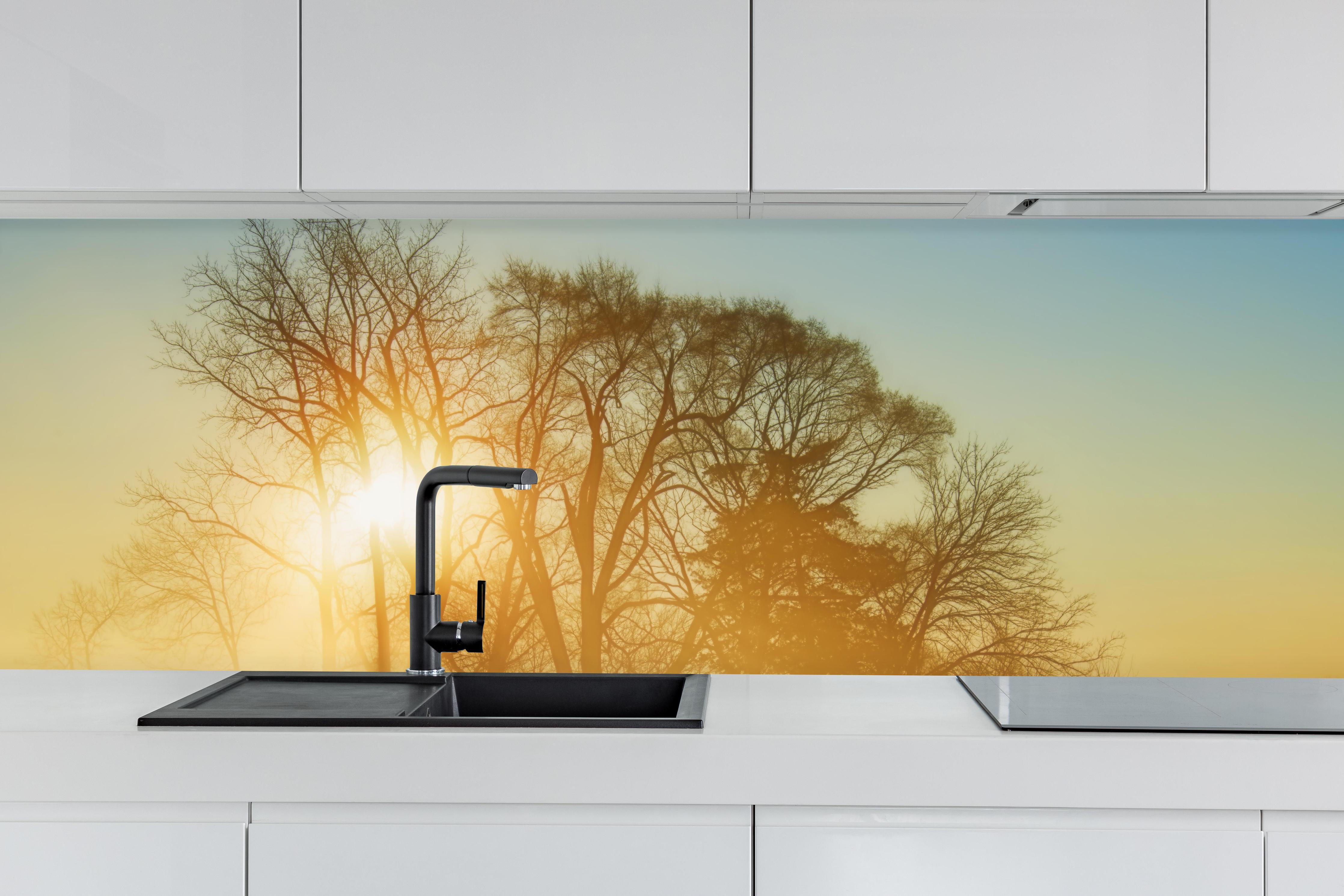 Küche - Pferd in der Morgendämmerung hinter weißen Hochglanz-Küchenregalen und schwarzem Wasserhahn