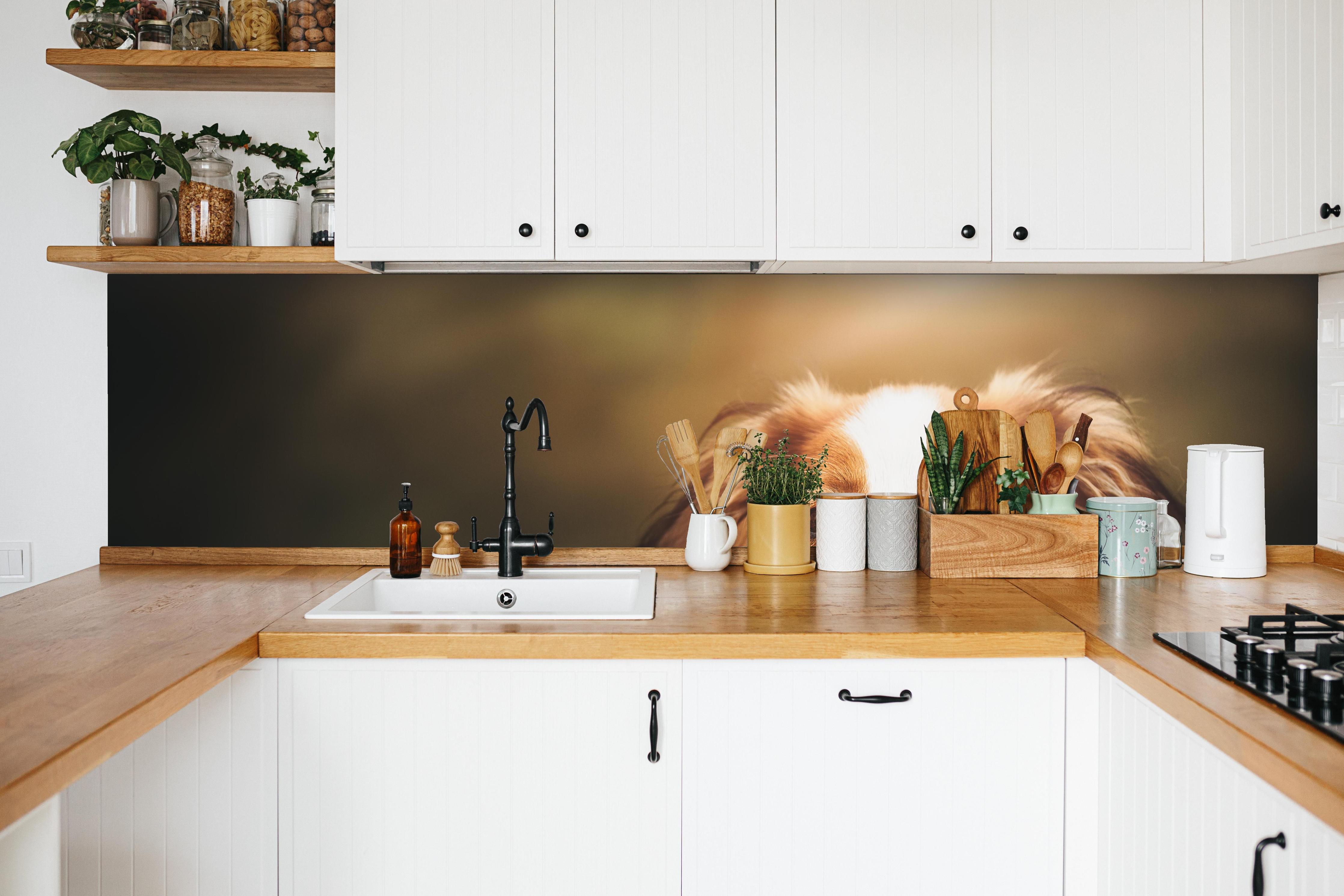 Küche - Porträt eines niedlichen Kooiker-Hundes in weißer Küche hinter Gewürzen und Kochlöffeln aus Holz