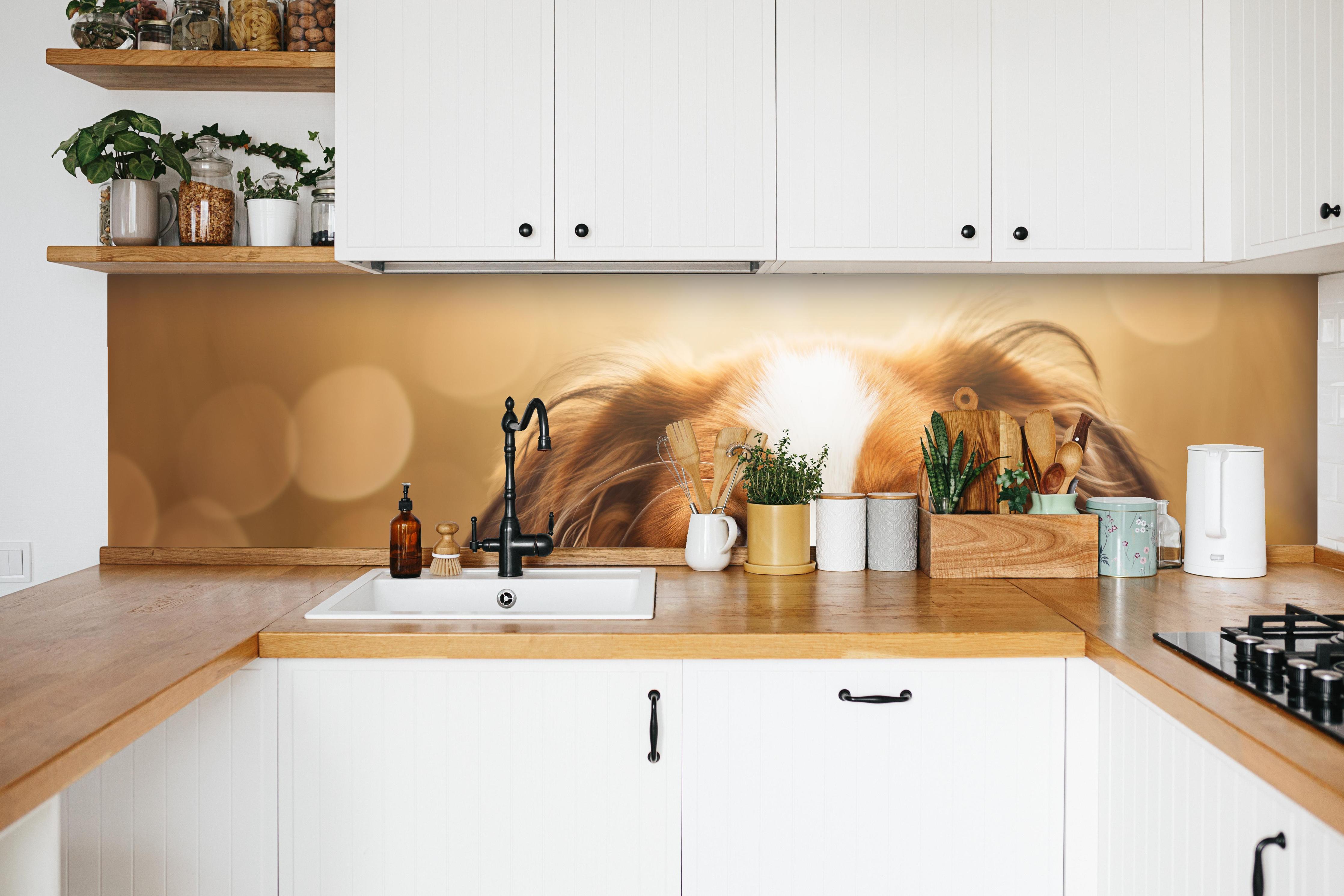 Küche - Portrait eines süßen Kooiker Hundes in weißer Küche hinter Gewürzen und Kochlöffeln aus Holz