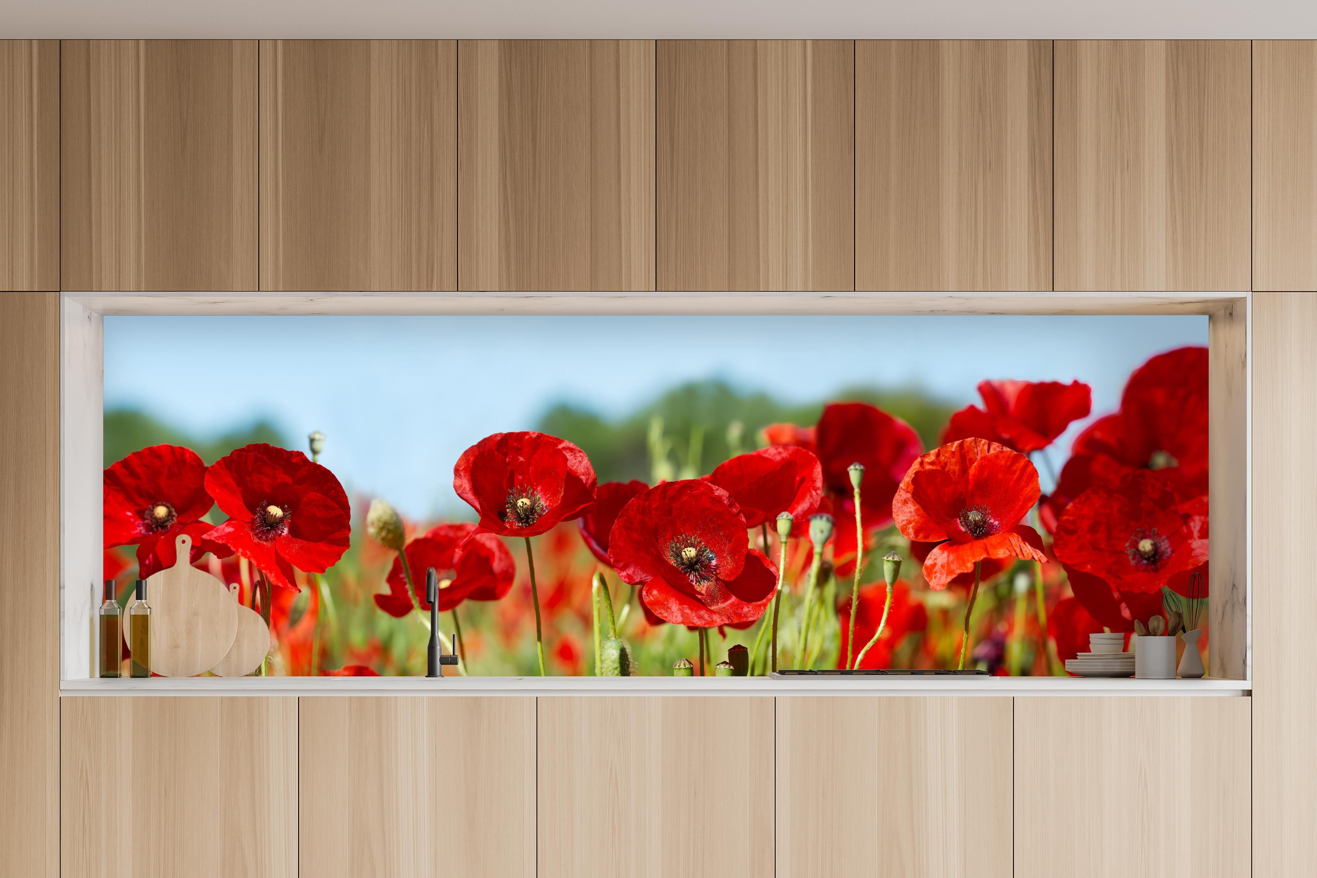 Küche - Rote Mohnblumen auf einem Feld in charakteristischer Vollholz-Küche mit modernem Gasherd