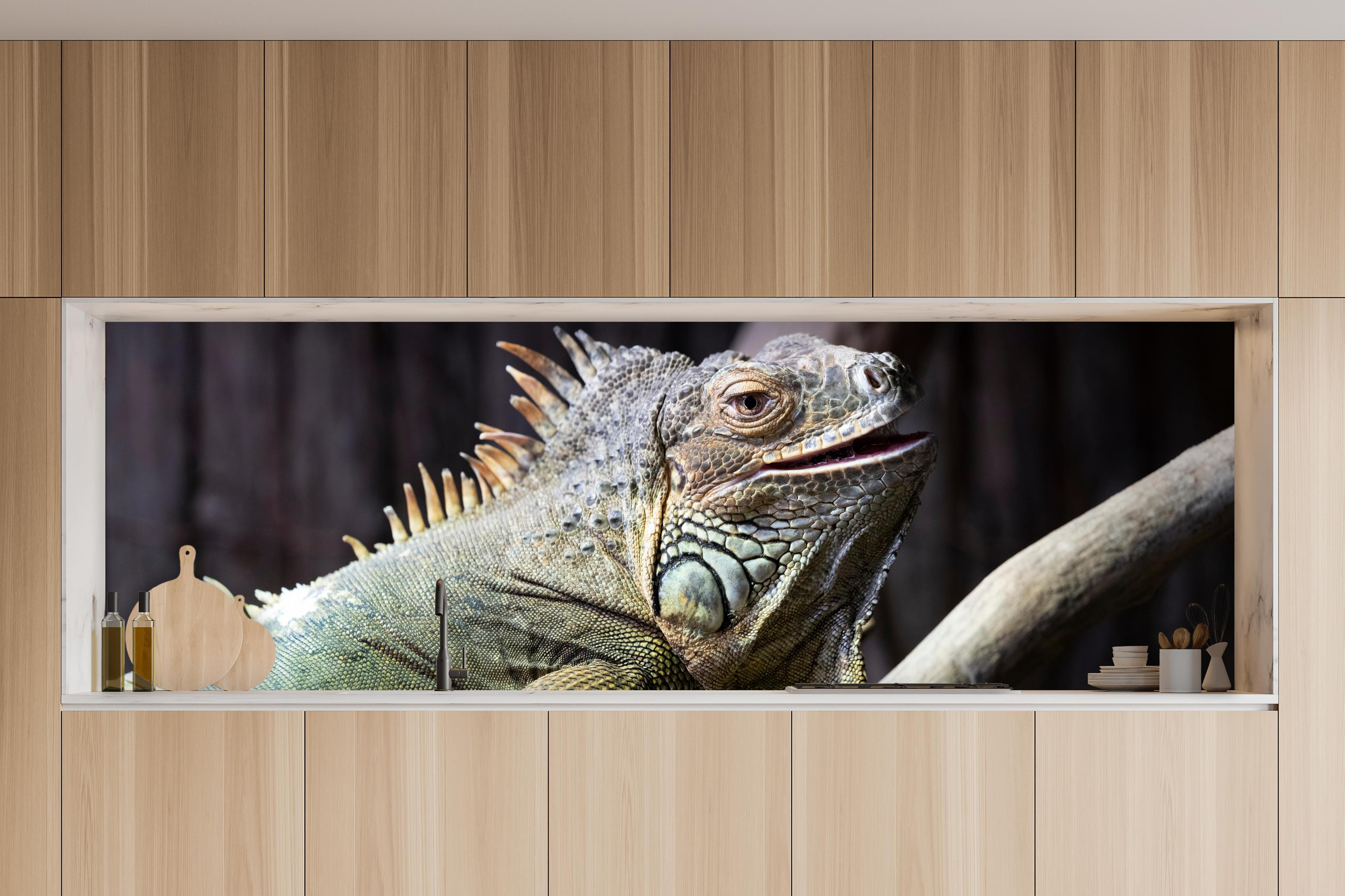 Küche - Ruhender Leguan in charakteristischer Vollholz-Küche mit modernem Gasherd