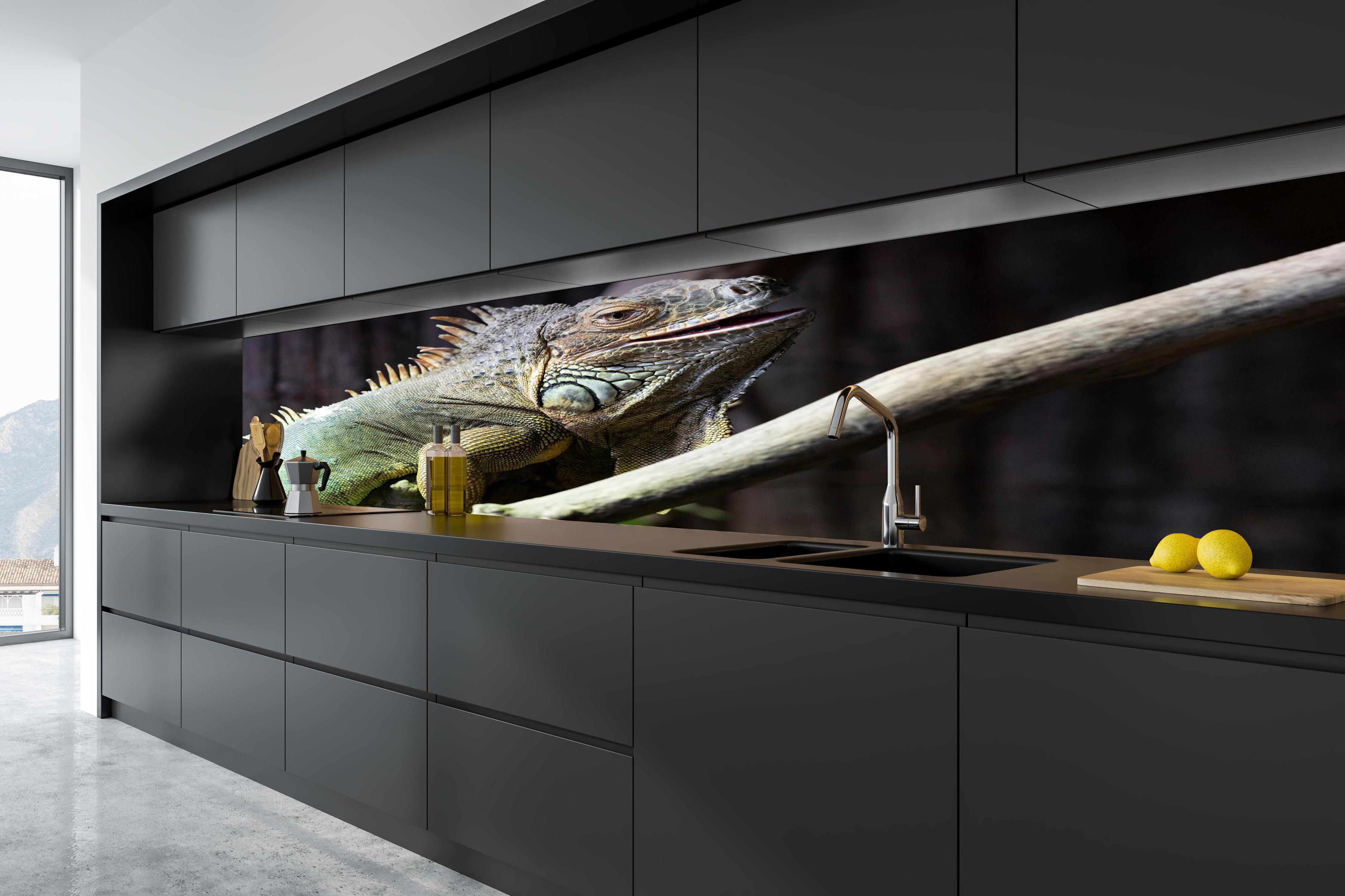 Küche - Ruhender Leguan in tiefschwarzer matt-premium Einbauküche