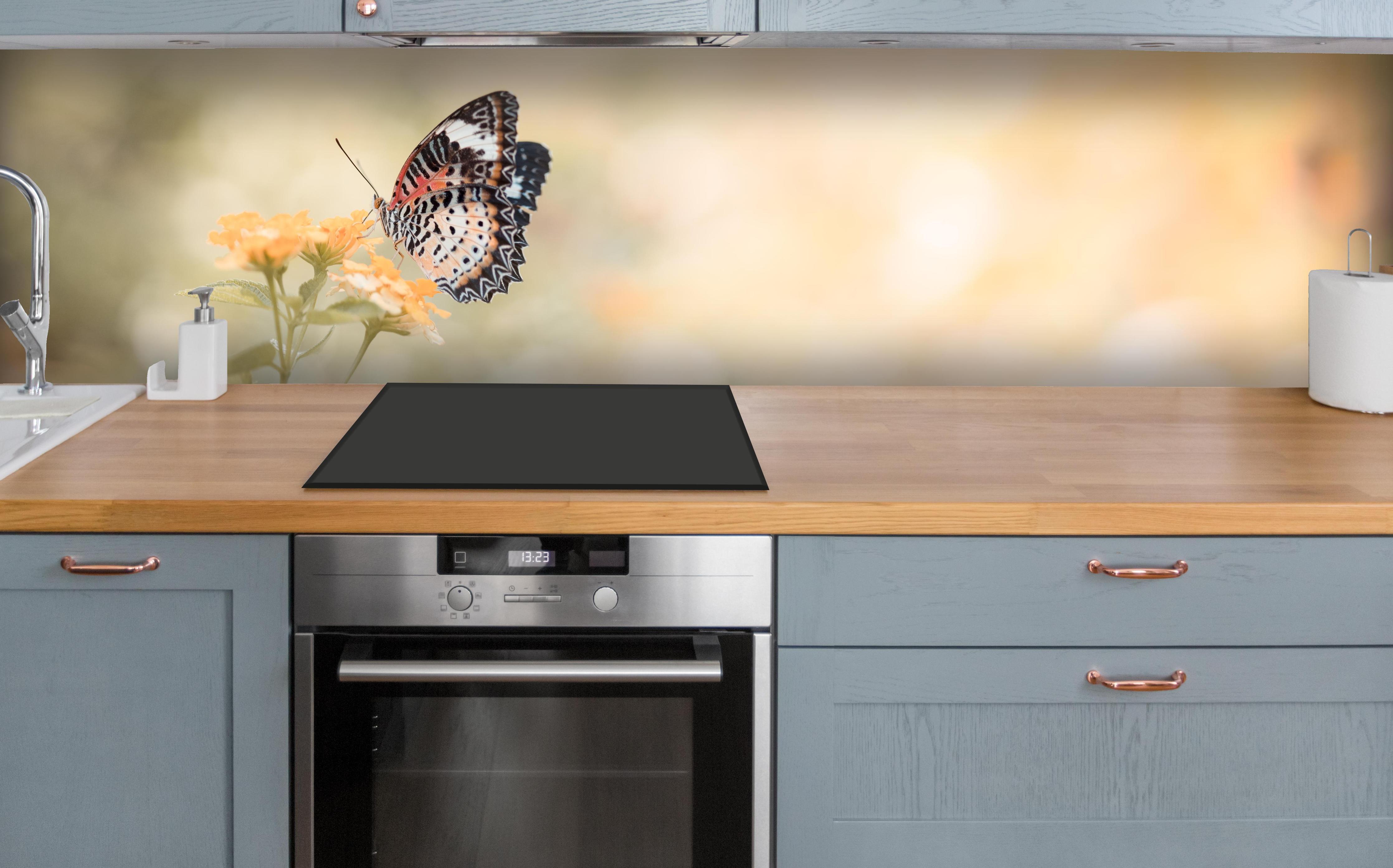 Küche - Schmetterling auf eine orangene Blume über polierter Holzarbeitsplatte mit Cerankochfeld