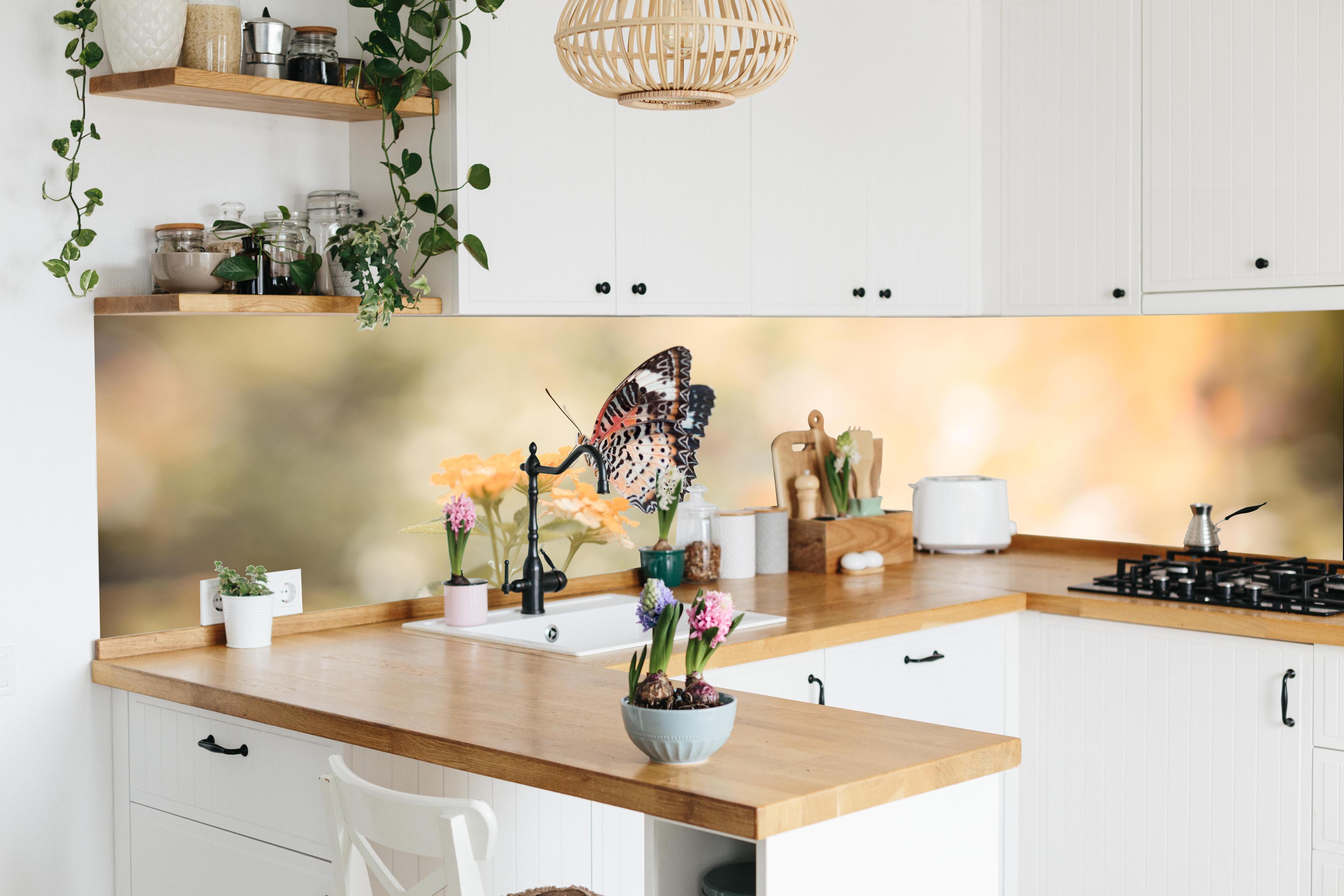 Küche - Schmetterling auf eine orangene Blume in lebendiger Küche mit bunten Blumen