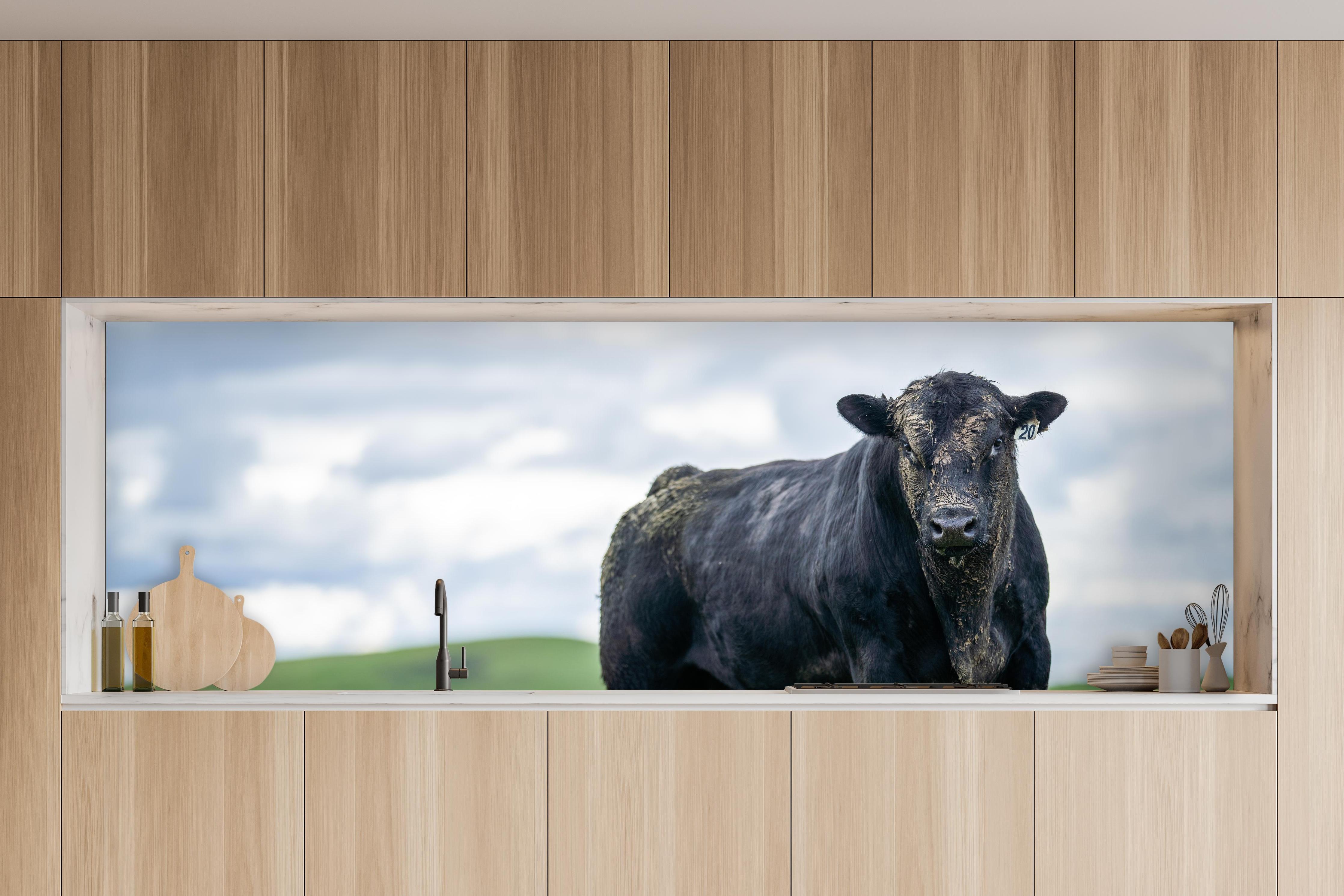 Küche - Schmutziger Aberdeen Angus in charakteristischer Vollholz-Küche mit modernem Gasherd