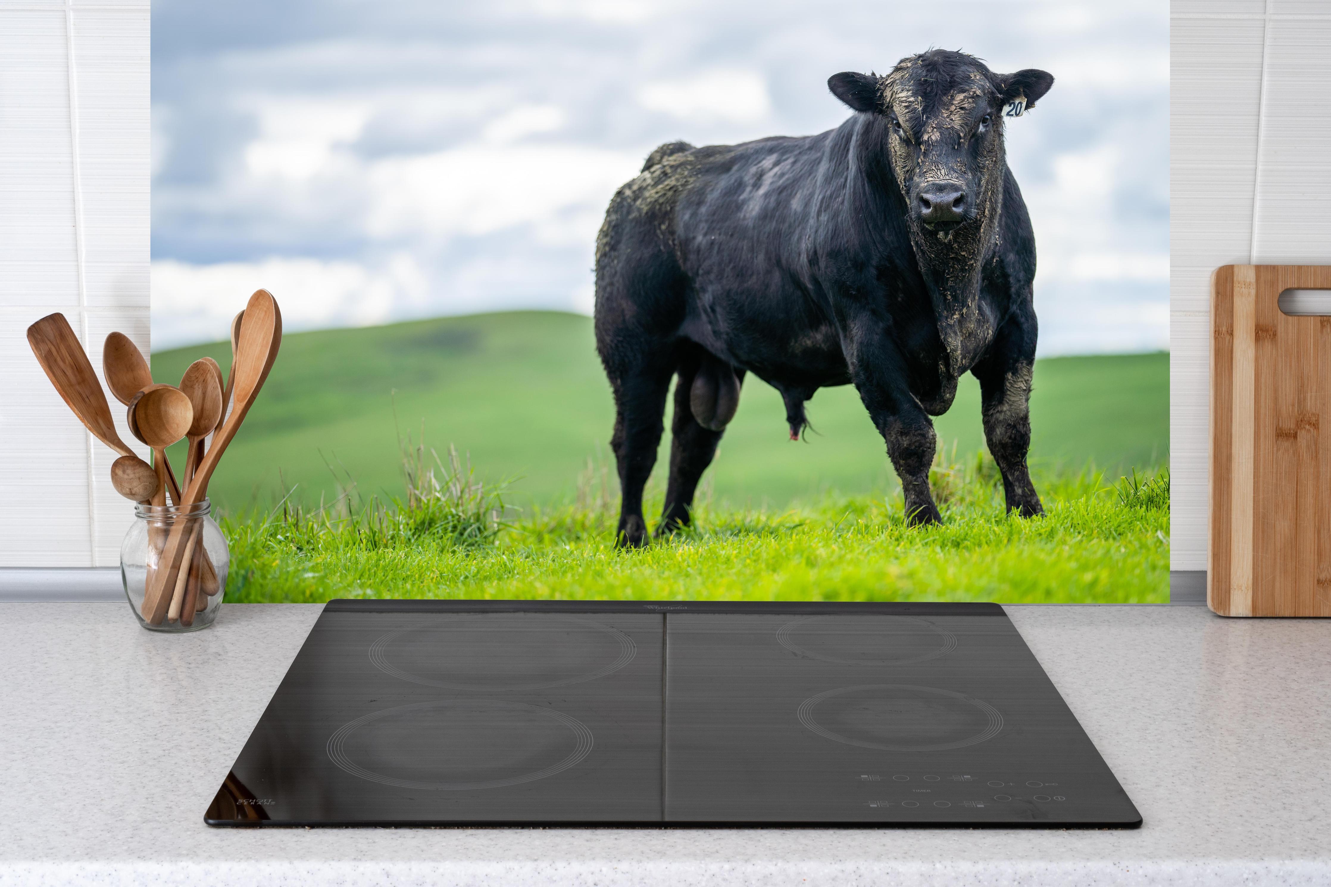 Küche - Schmutziger Aberdeen Angus hinter Cerankochfeld und Holz-Kochutensilien