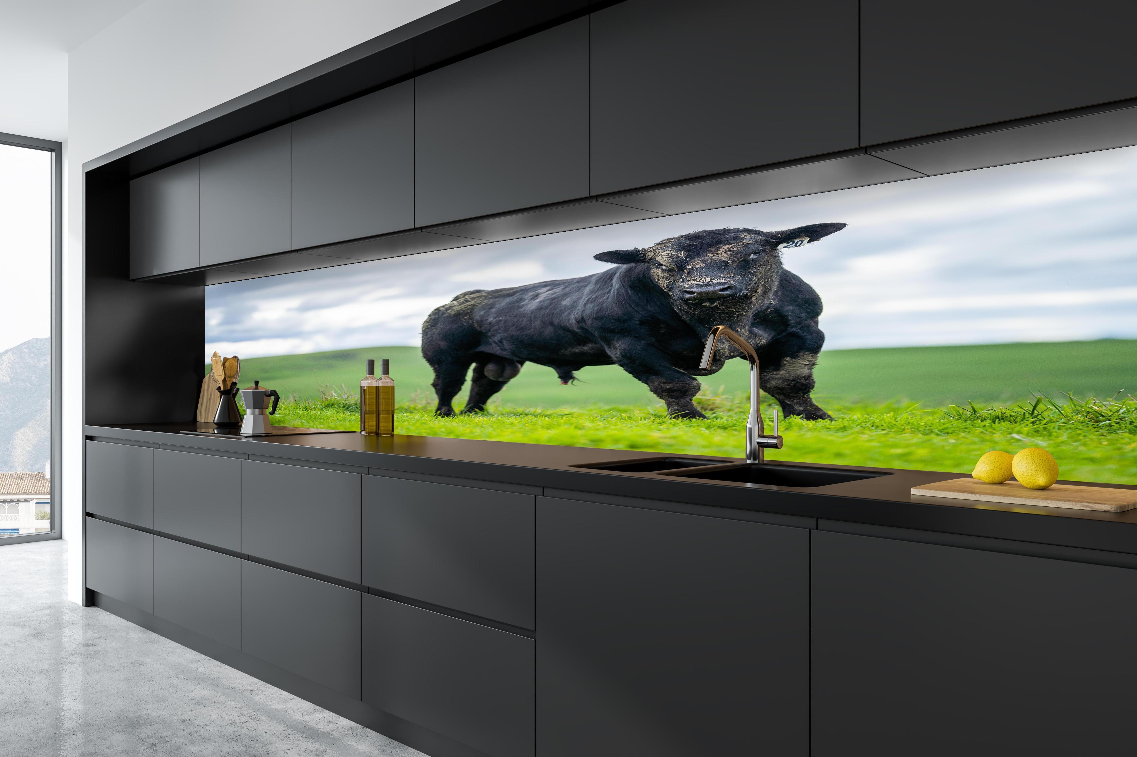 Küche - Schmutziger Aberdeen Angus in tiefschwarzer matt-premium Einbauküche