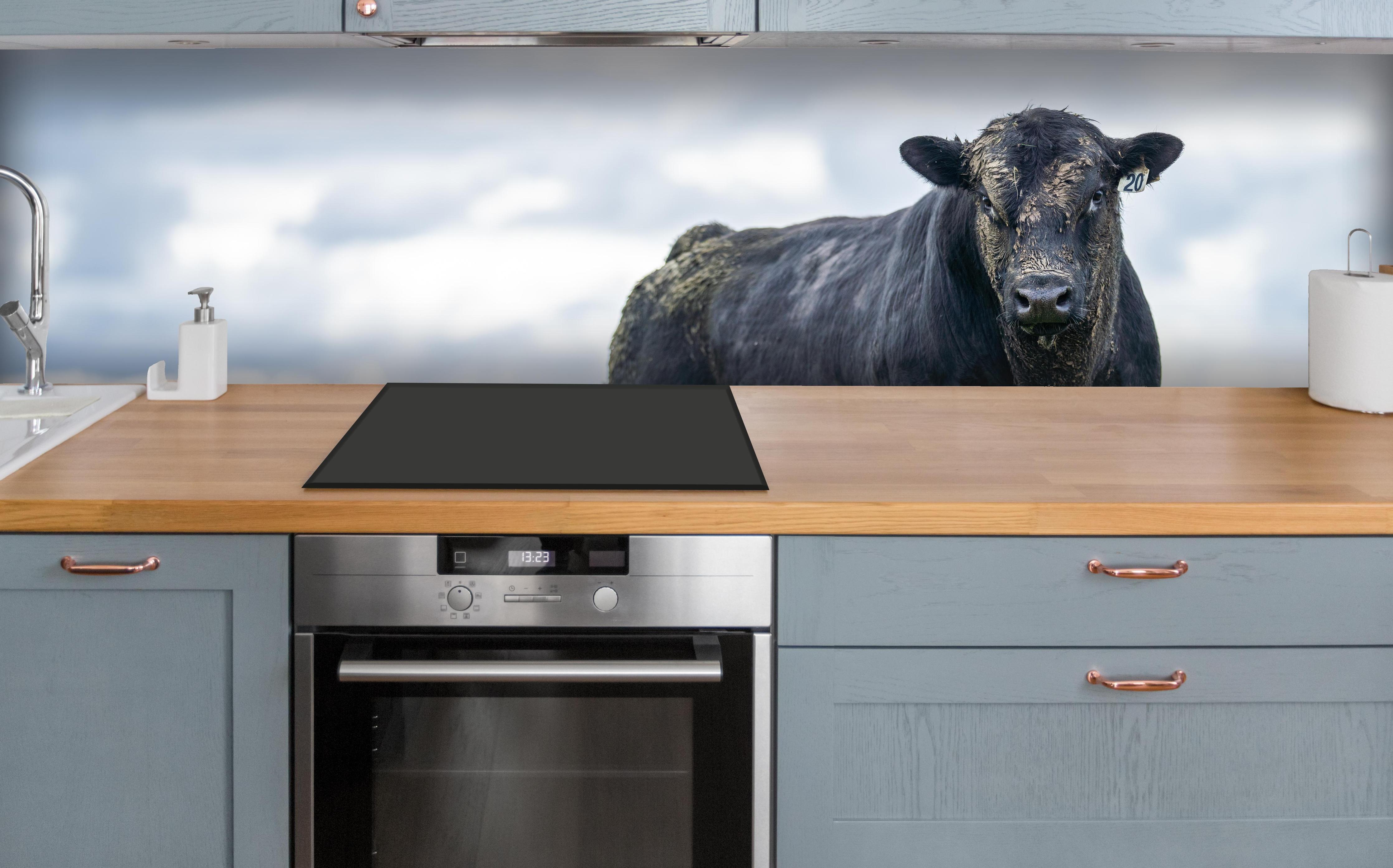 Küche - Schmutziger Aberdeen Angus über polierter Holzarbeitsplatte mit Cerankochfeld