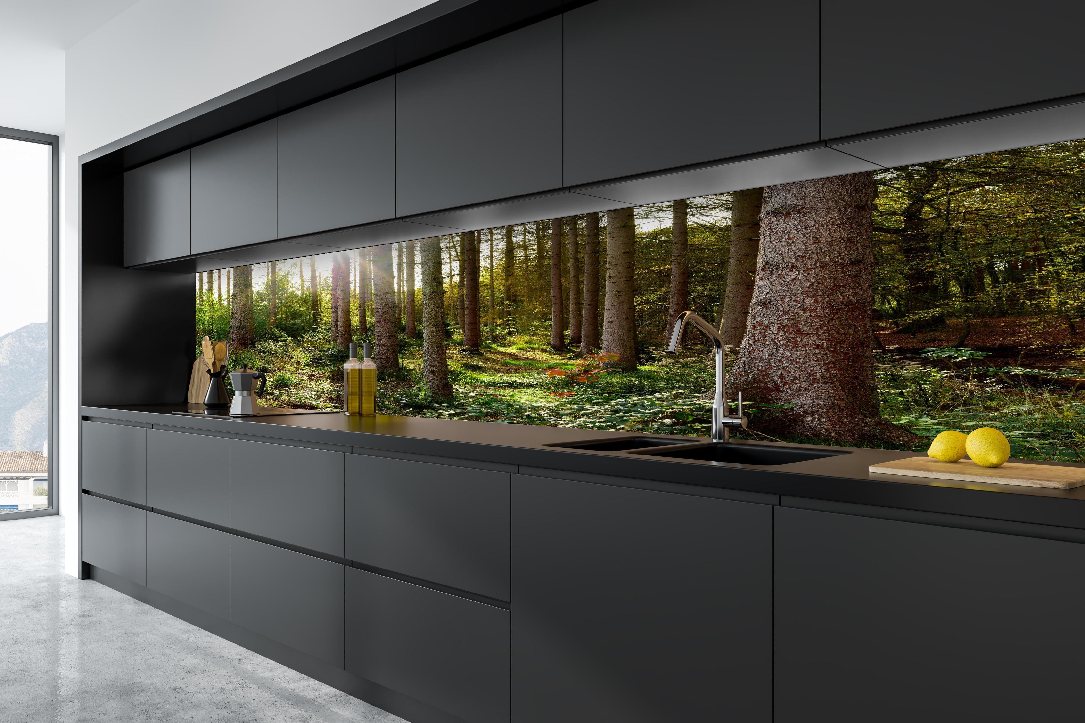 Küche - Schöner Fichtenwald im Herbst in tiefschwarzer matt-premium Einbauküche