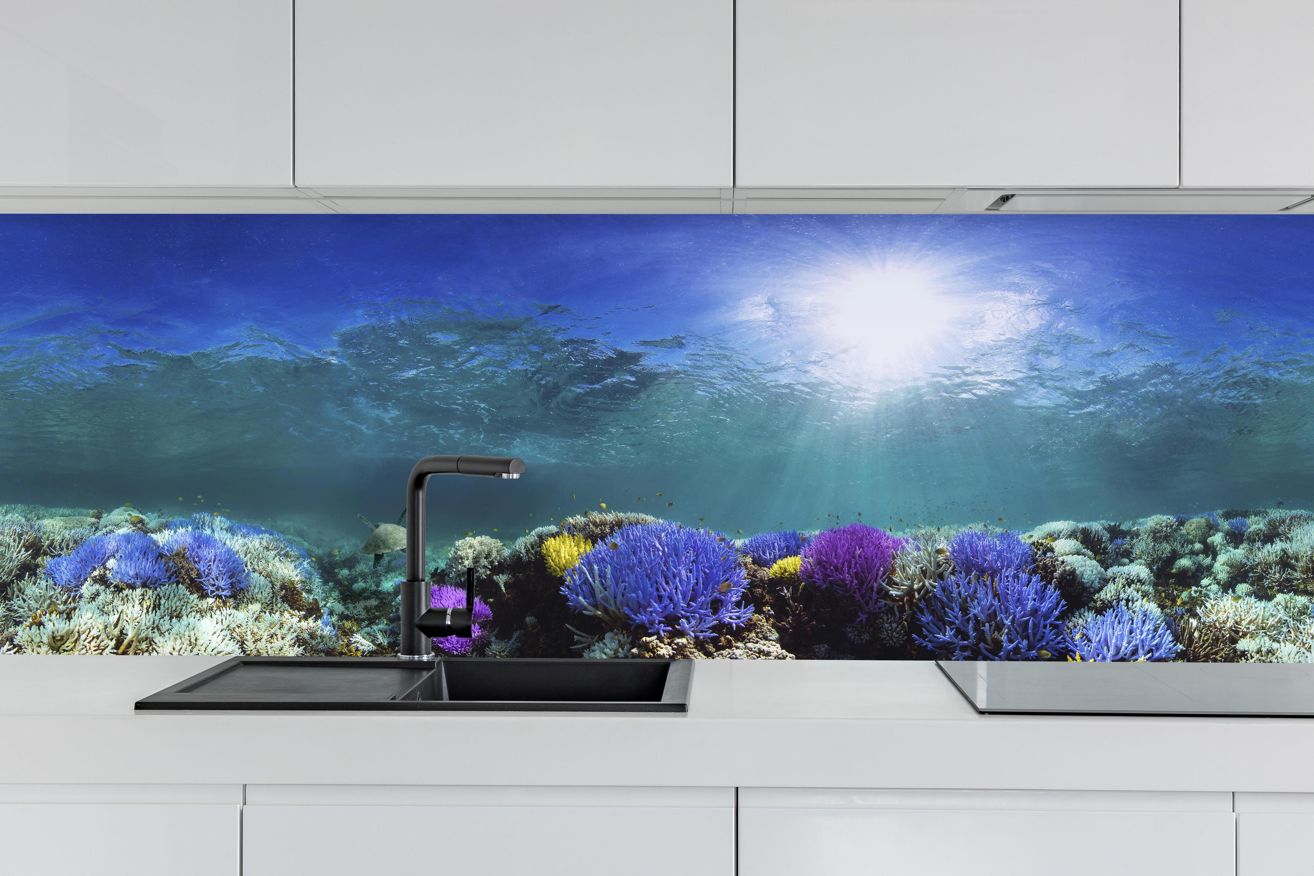 Küche - Schönes Korallenriff hinter weißen Hochglanz-Küchenregalen und schwarzem Wasserhahn