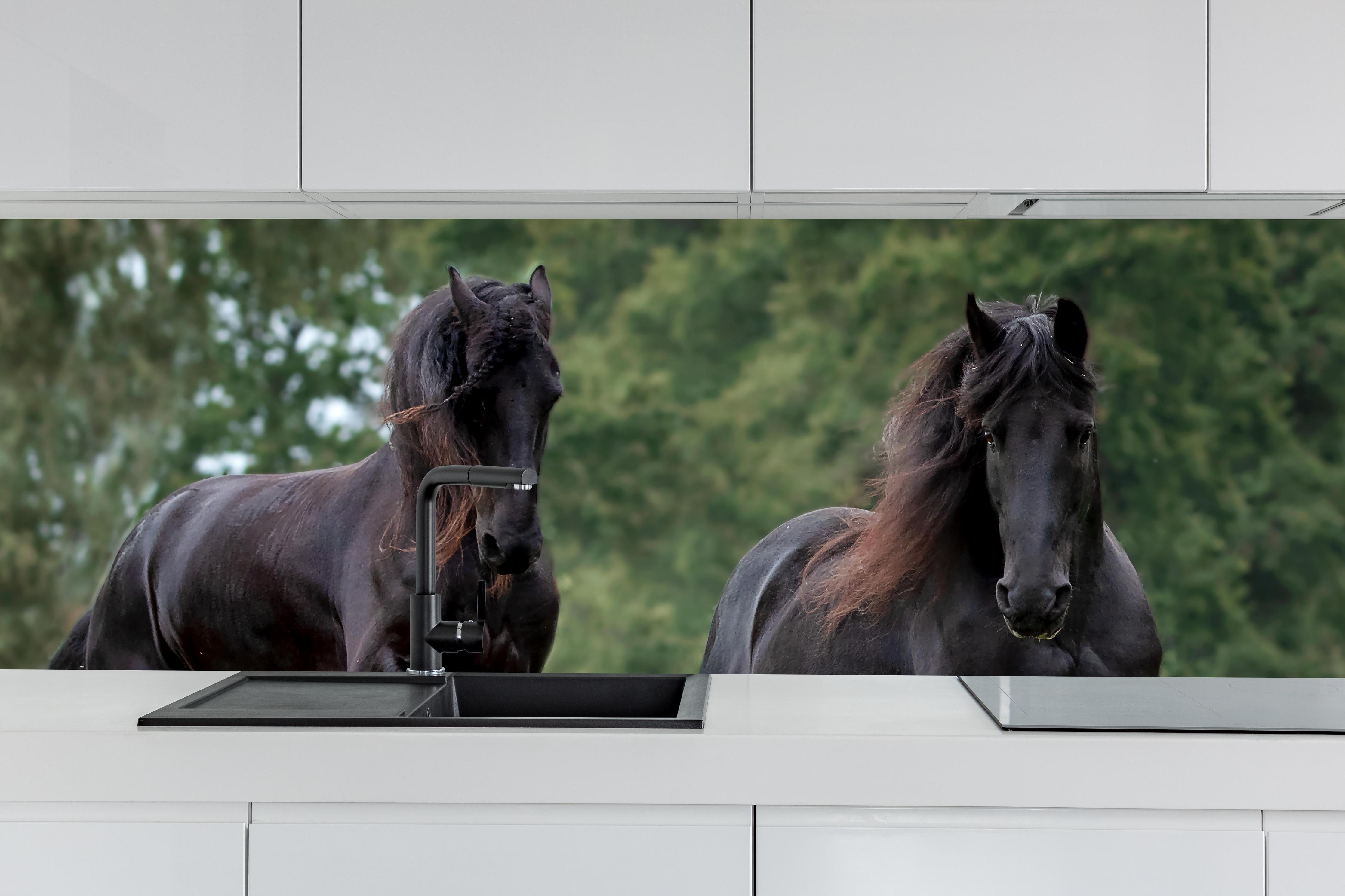 Küche - Schwarze prächtige Friesenpferde hinter weißen Hochglanz-Küchenregalen und schwarzem Wasserhahn