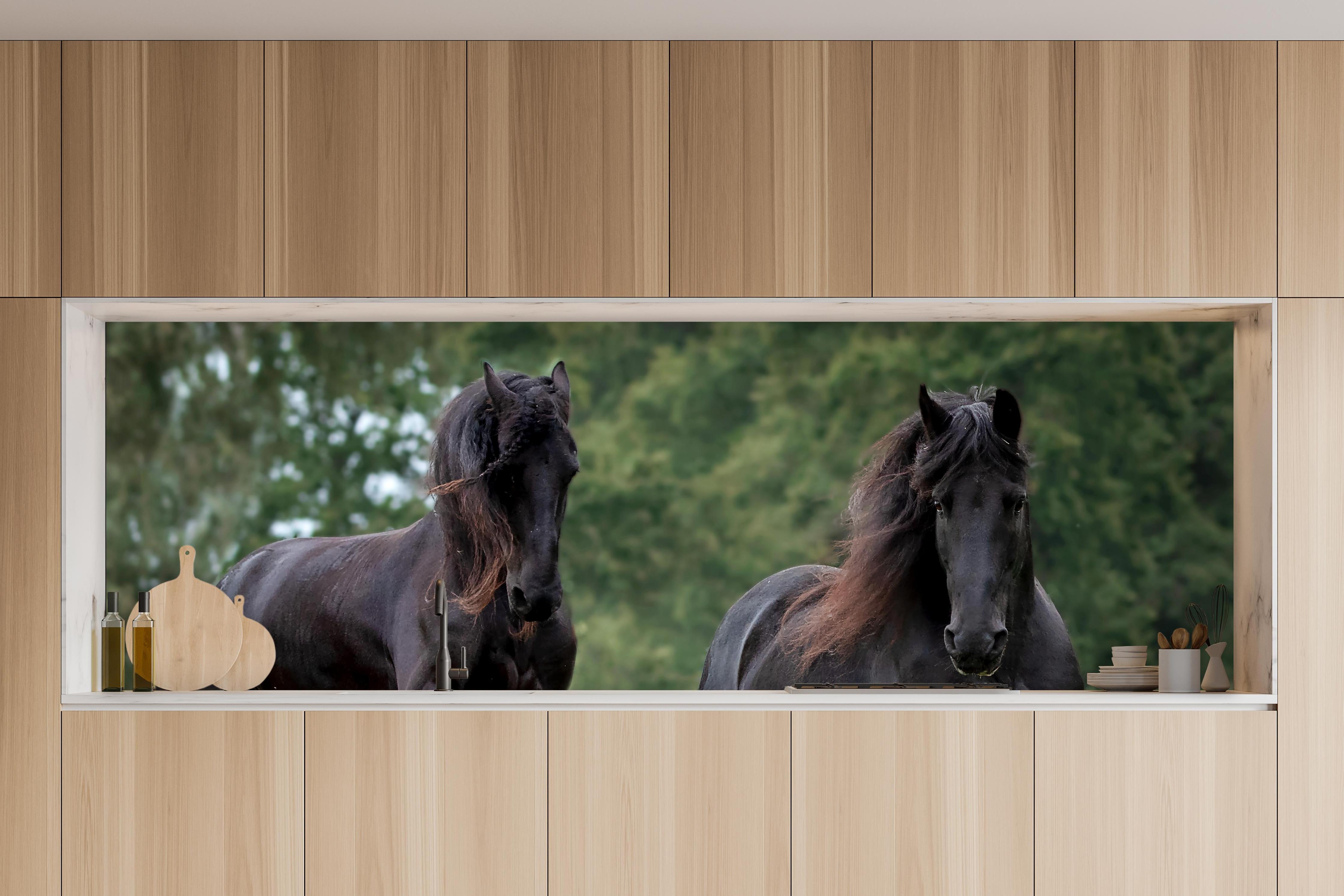 Küche - Schwarze prächtige Friesenpferde in charakteristischer Vollholz-Küche mit modernem Gasherd