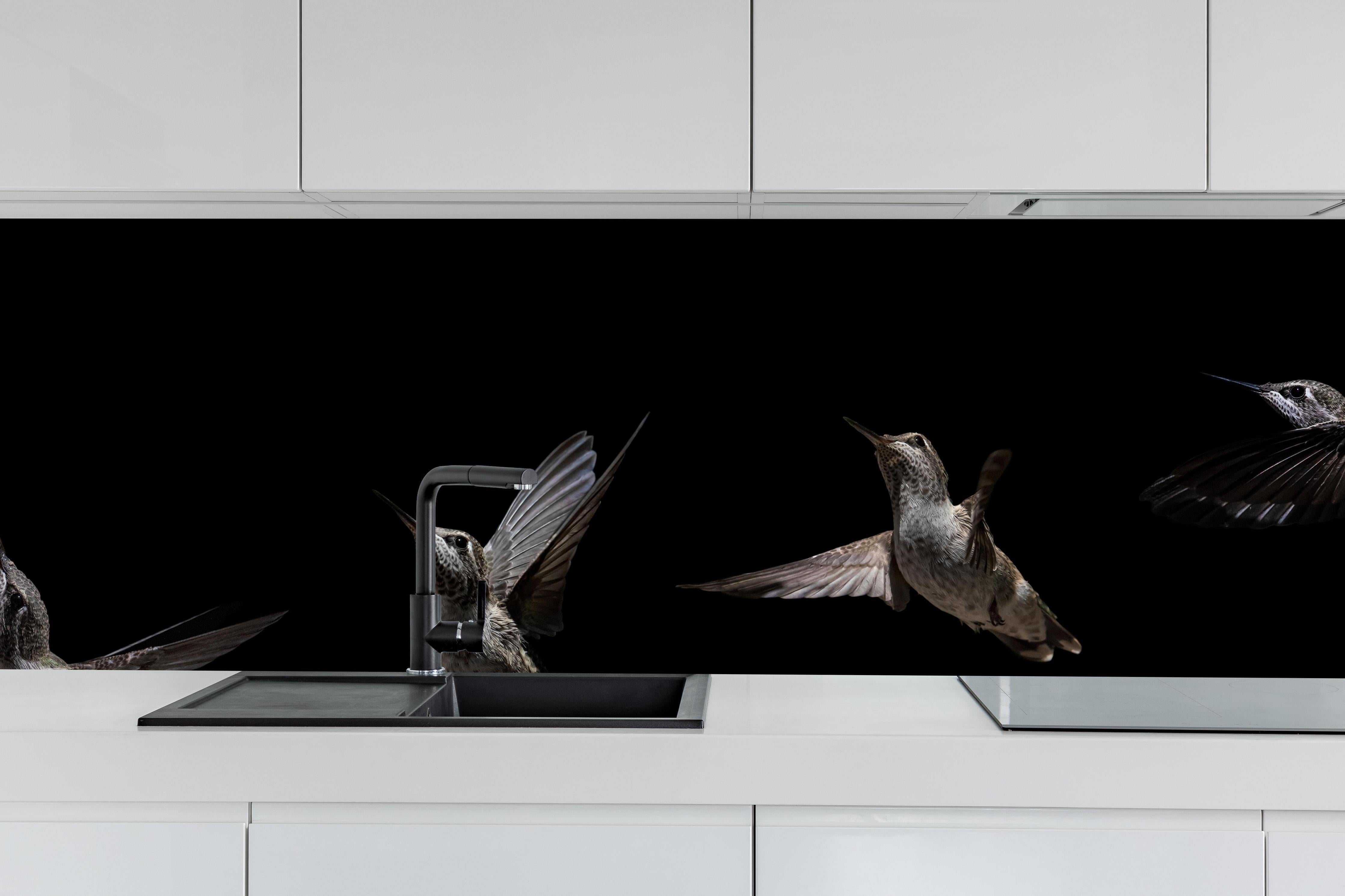 Küche - Schwarzkinnkolibri Vogel mit Schwarzem Hintergrund hinter weißen Hochglanz-Küchenregalen und schwarzem Wasserhahn