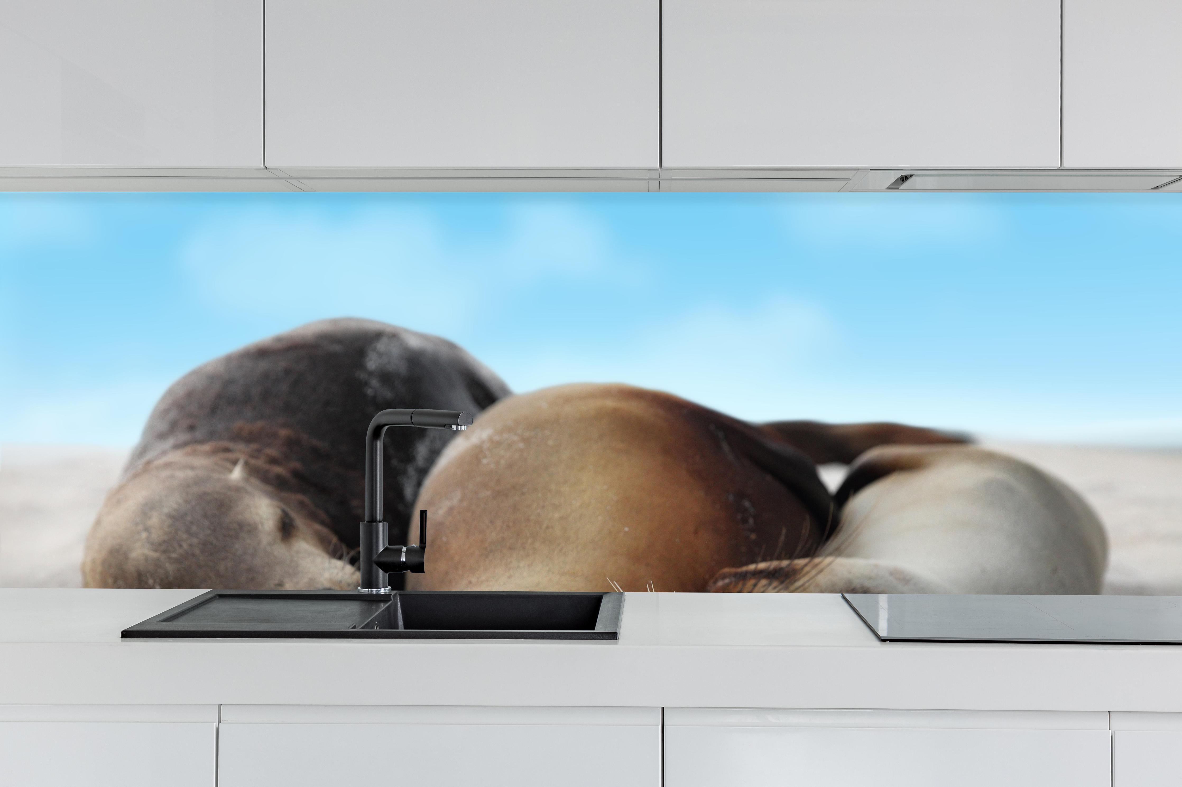 Küche - Seelöwen im Sand liegend hinter weißen Hochglanz-Küchenregalen und schwarzem Wasserhahn