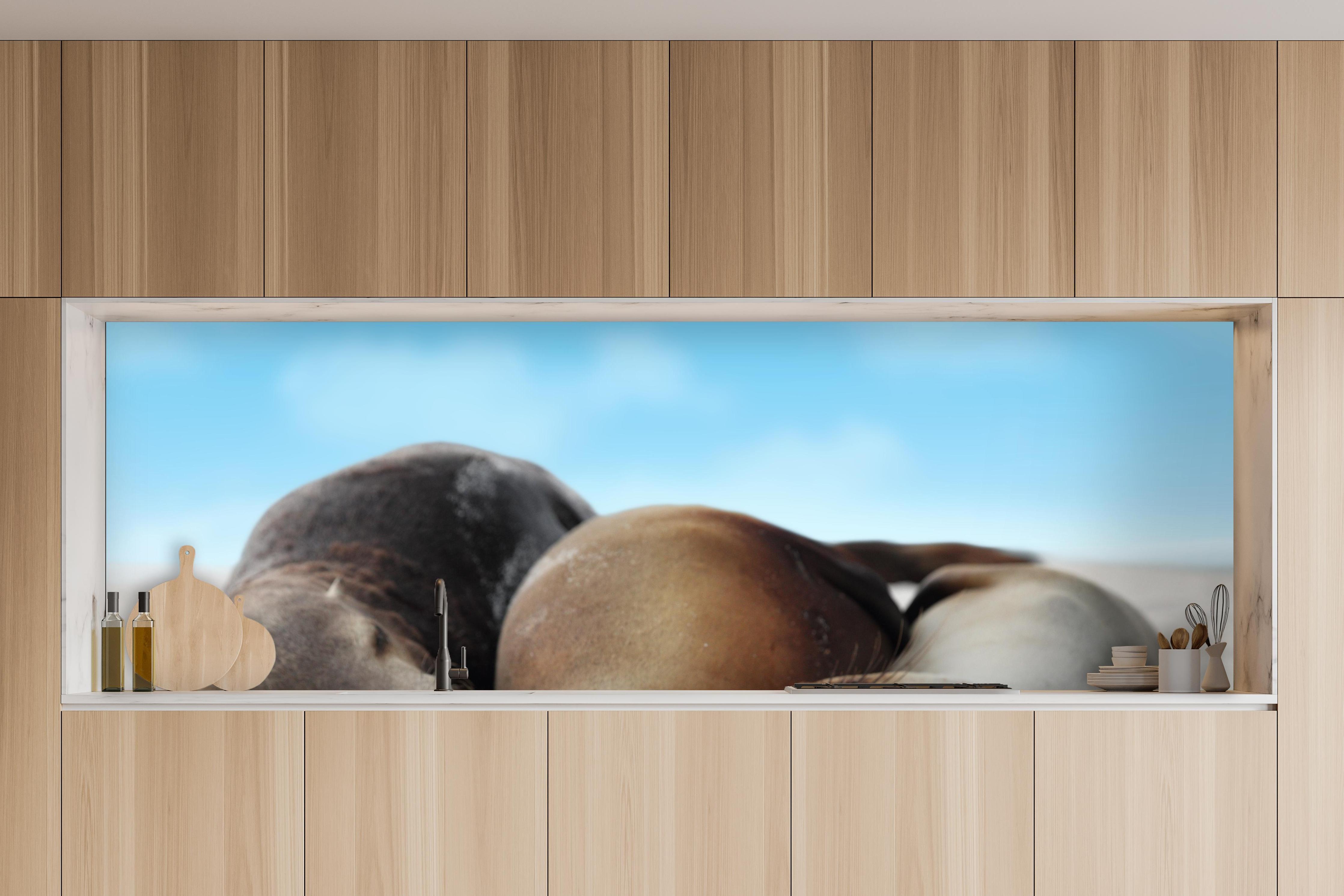 Küche - Seelöwen im Sand liegend in charakteristischer Vollholz-Küche mit modernem Gasherd