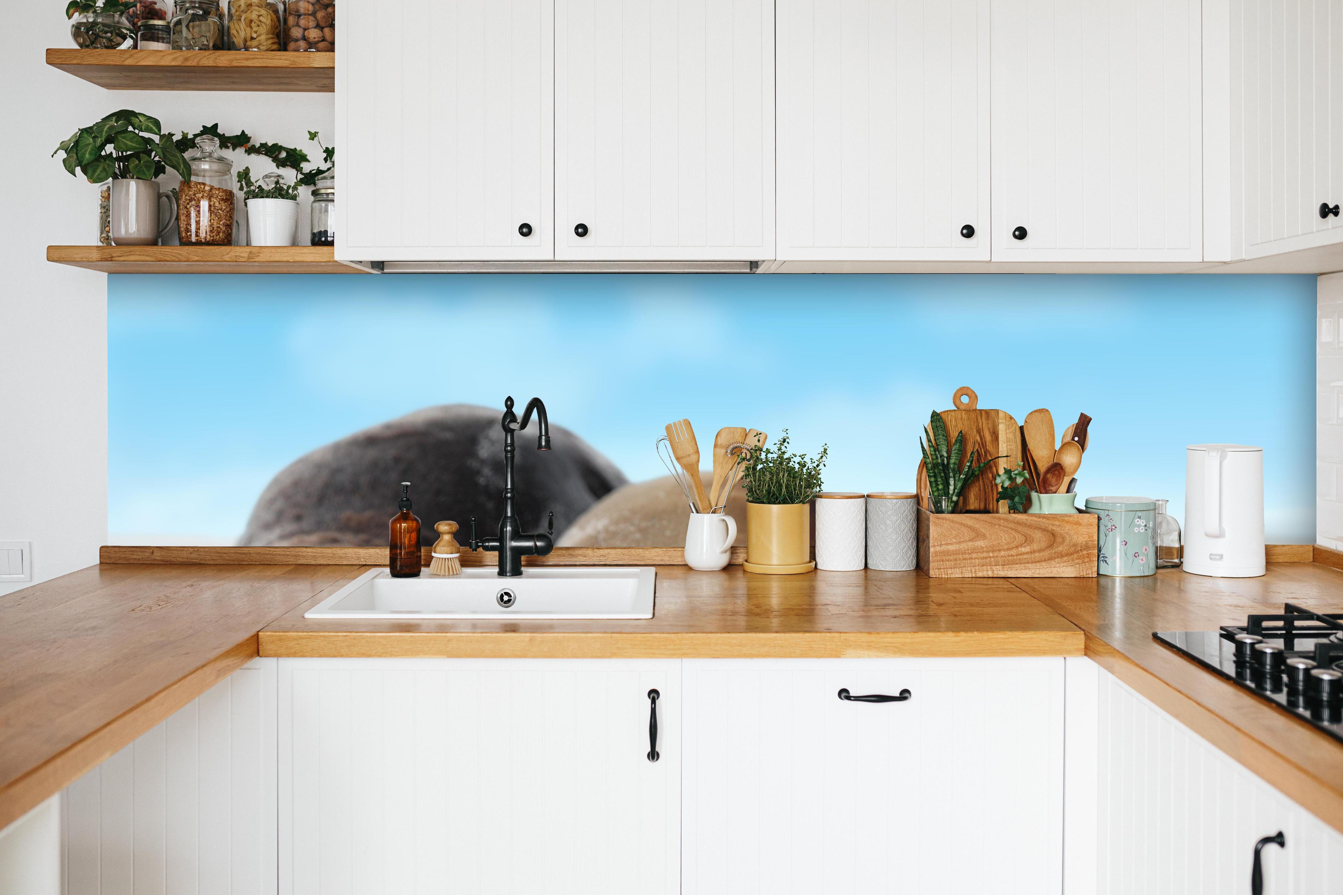 Küche - Seelöwen im Sand liegend in weißer Küche hinter Gewürzen und Kochlöffeln aus Holz