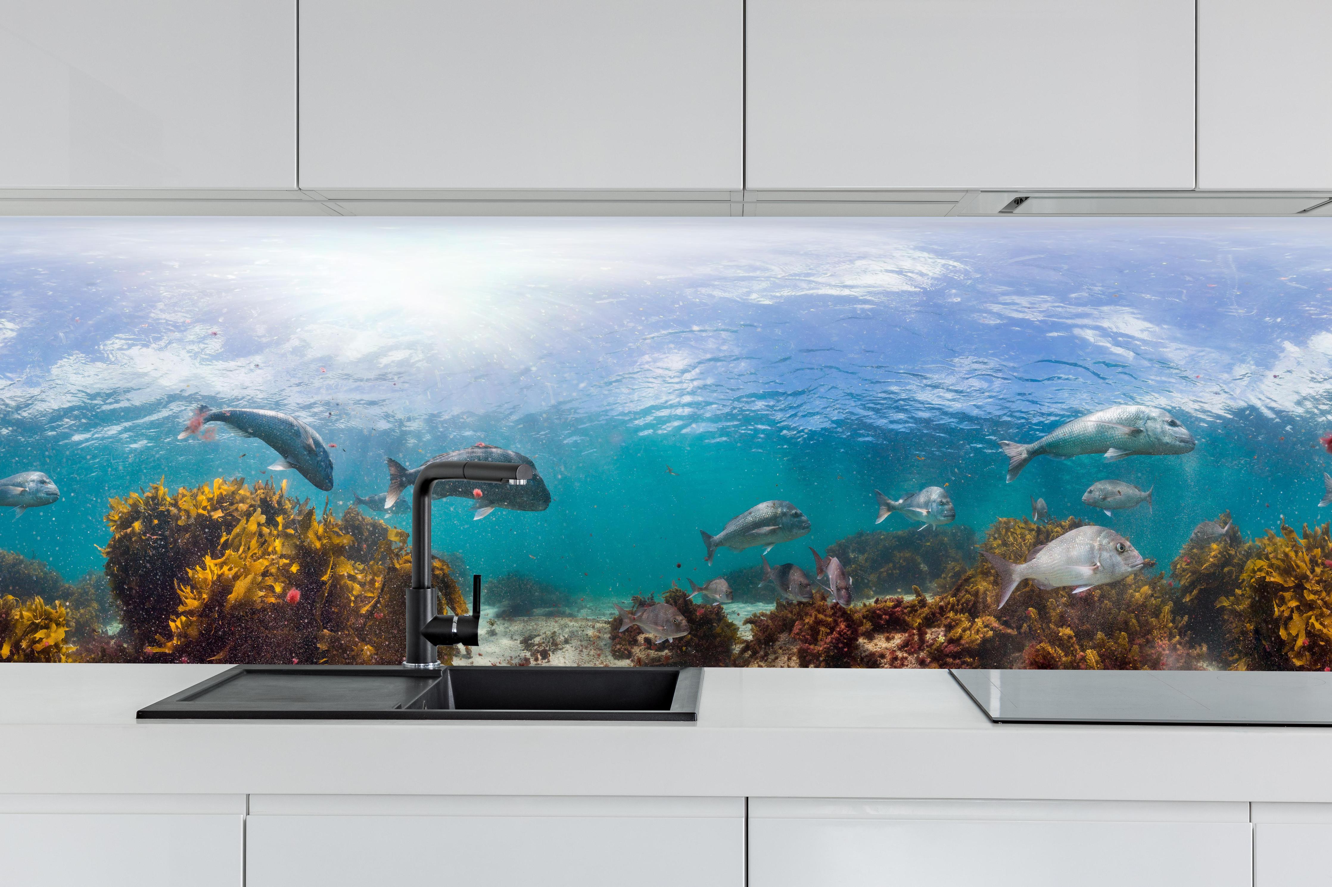 Küche - Seetang und Fisch in Neuseeland hinter weißen Hochglanz-Küchenregalen und schwarzem Wasserhahn