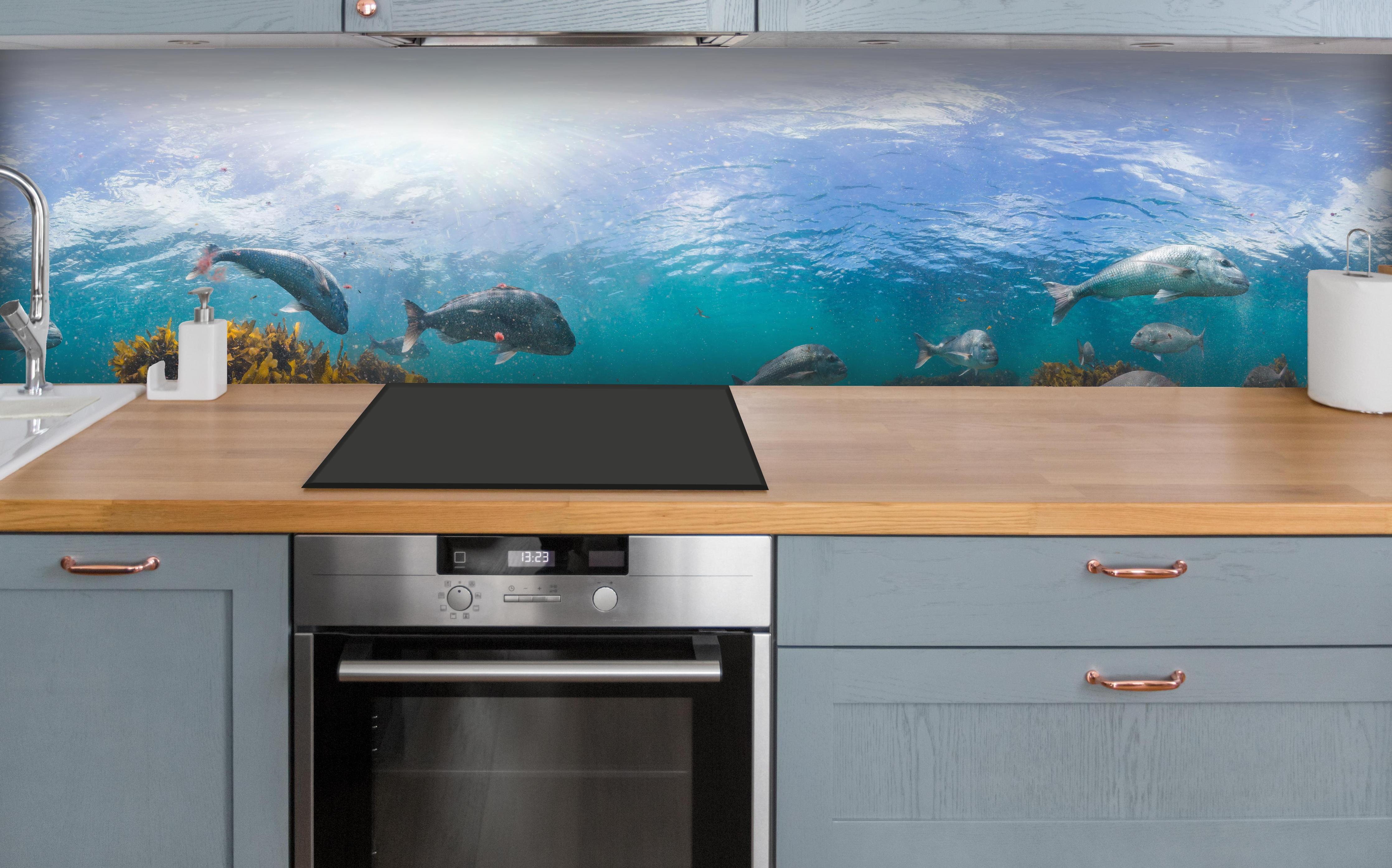 Küche - Seetang und Fisch in Neuseeland über polierter Holzarbeitsplatte mit Cerankochfeld