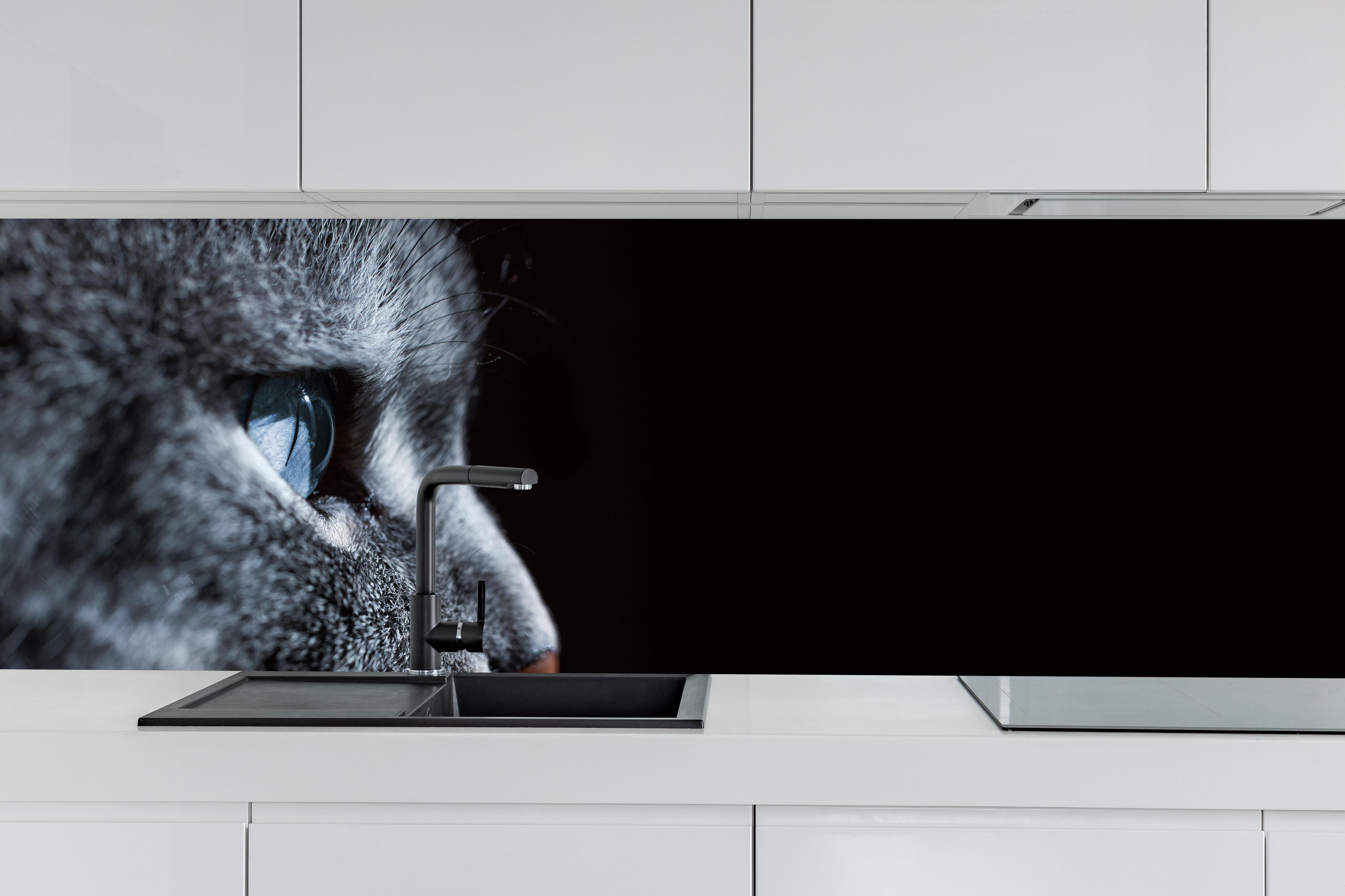 Küche - Seitliches Katzen-Portrait hinter weißen Hochglanz-Küchenregalen und schwarzem Wasserhahn